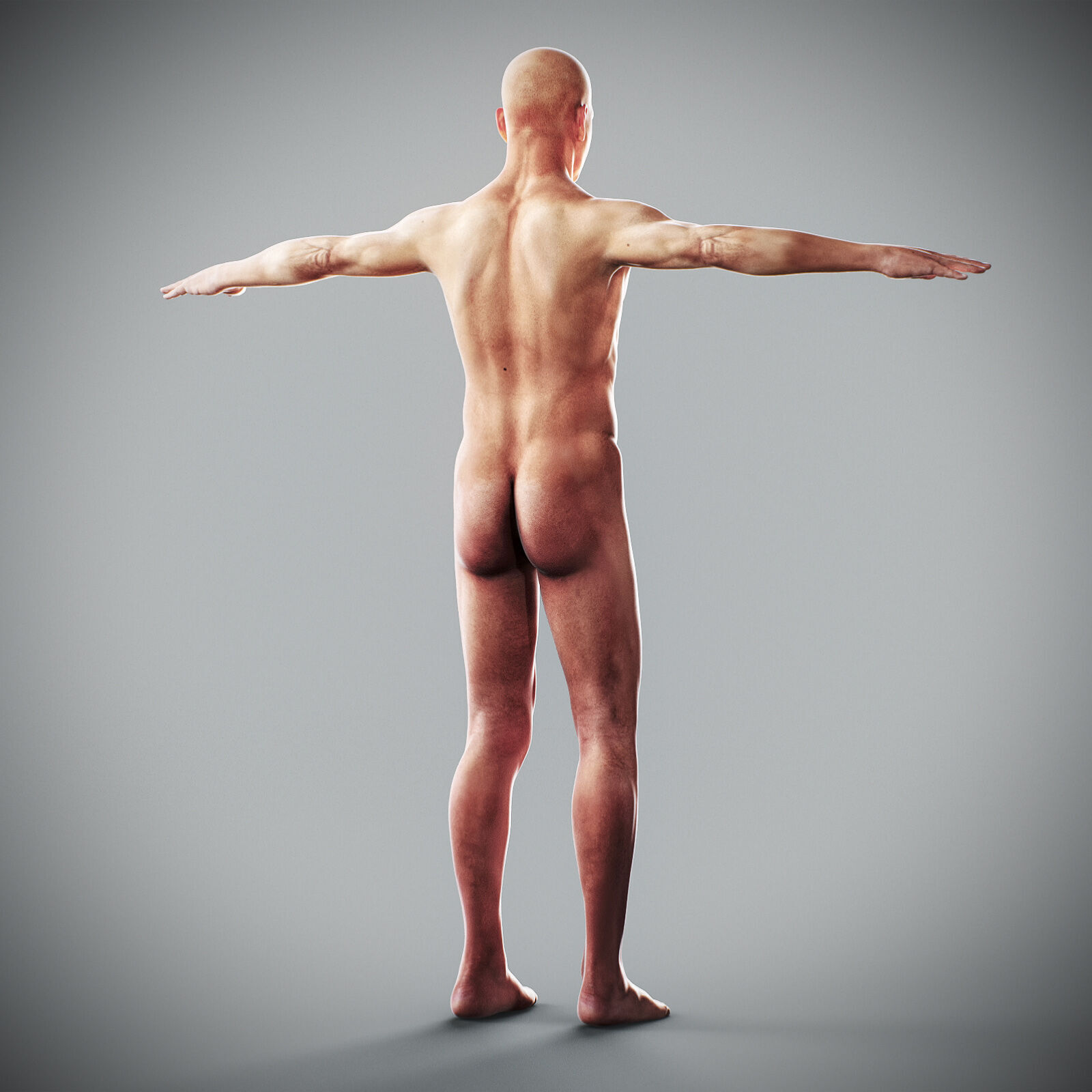 Human Male Anatomy 3D model_67