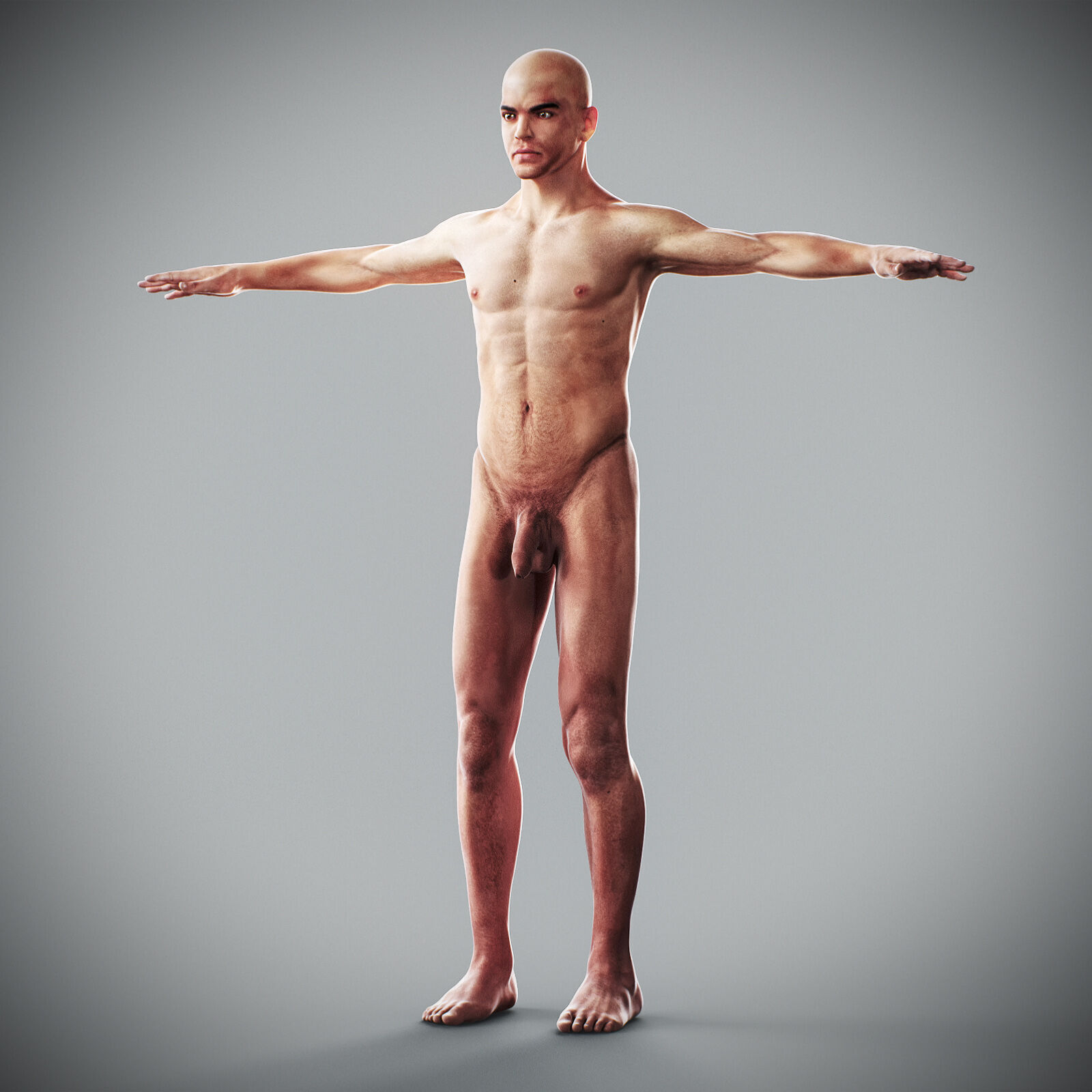 Human Male Anatomy 3D model_19