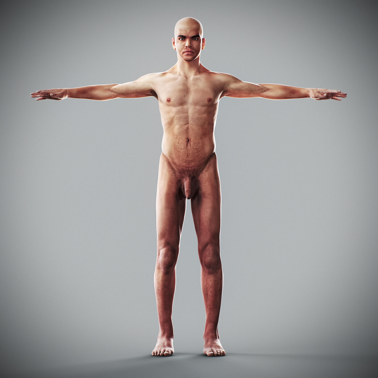 Human Male Anatomy 3D model_4