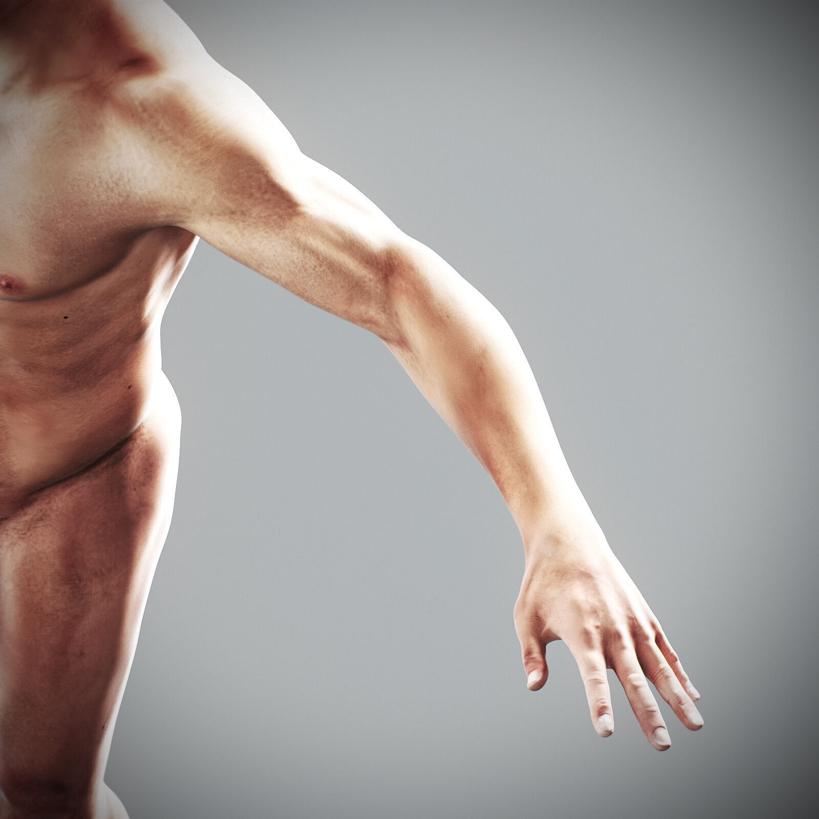 Human Male Anatomy 3D model_66