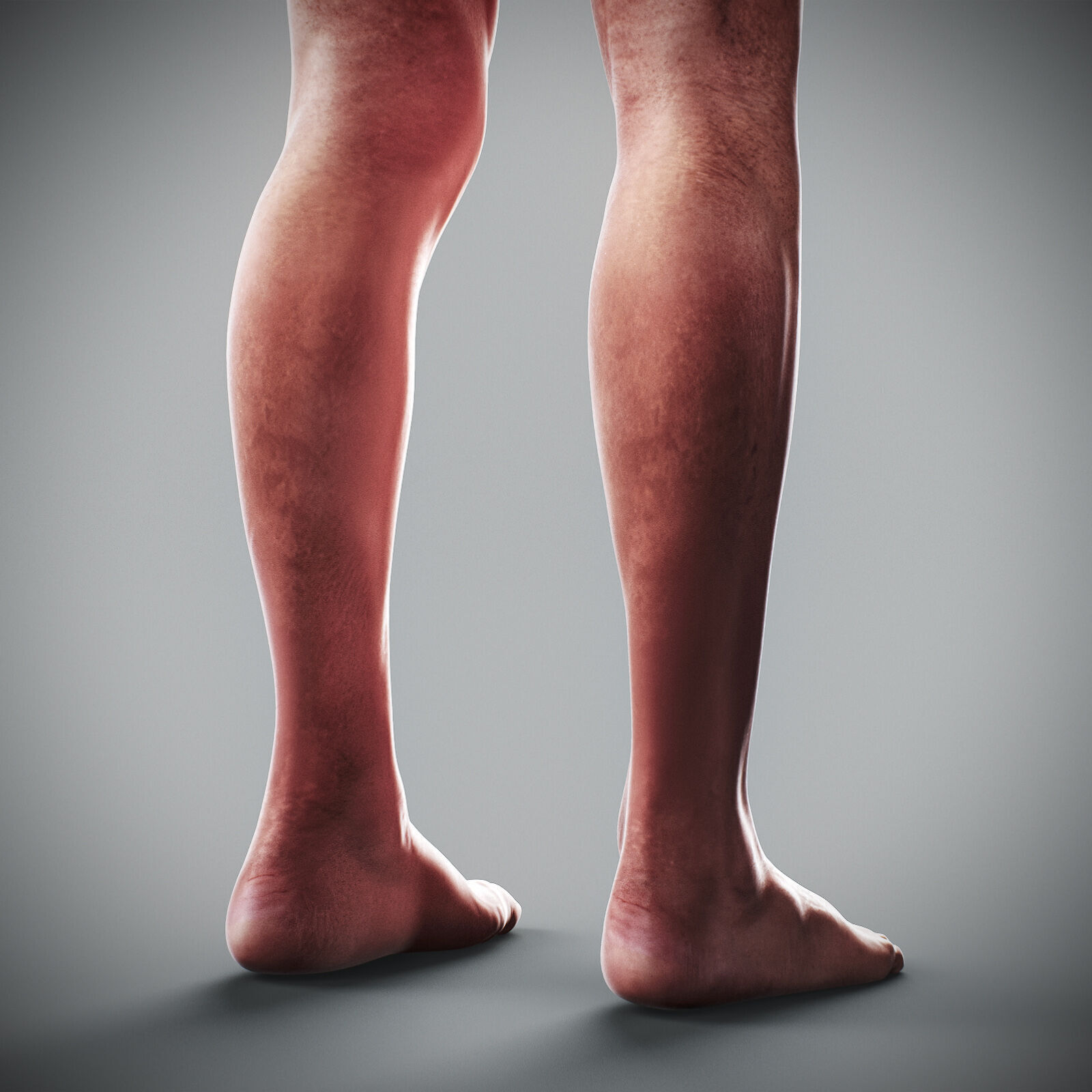 Human Male Anatomy 3D model_65