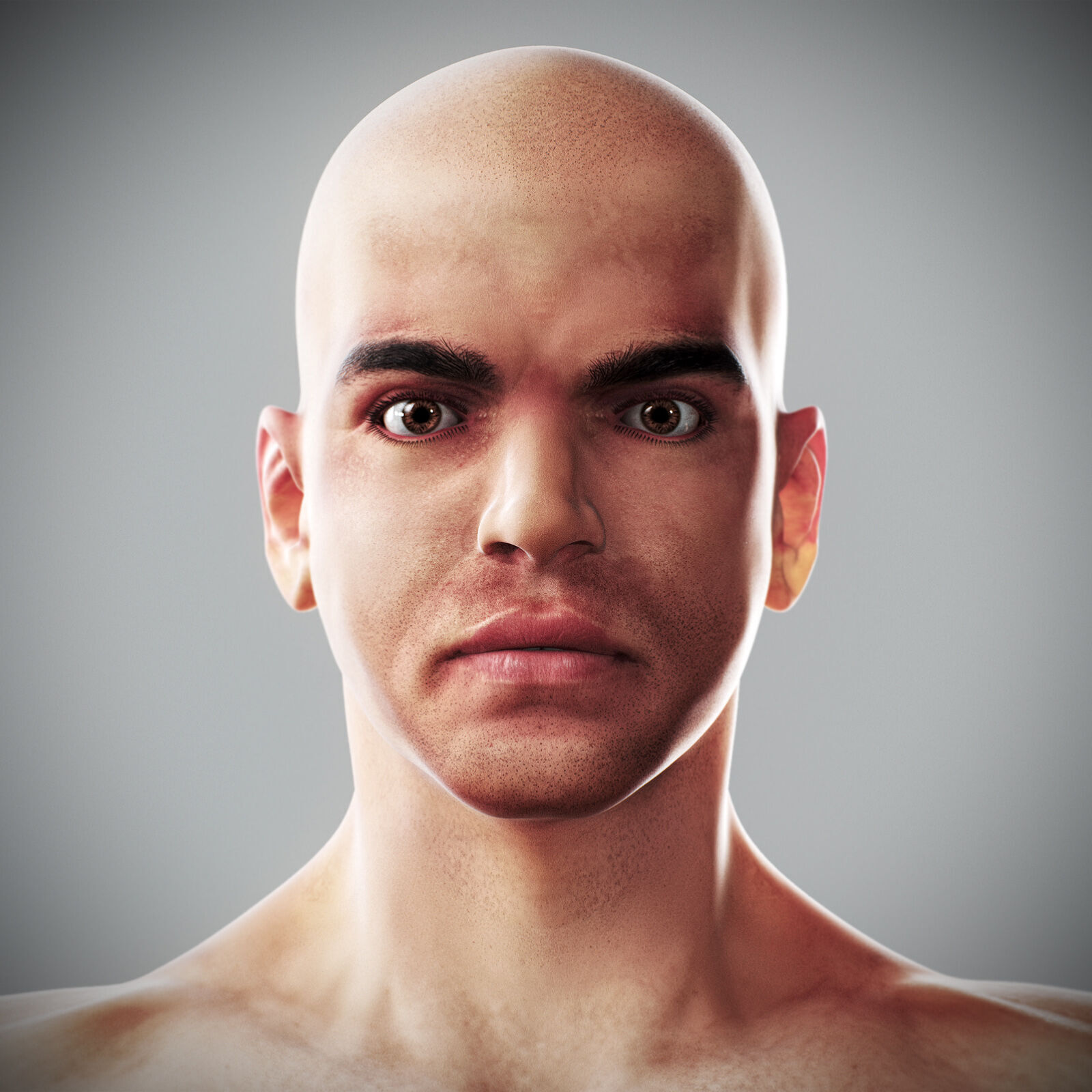 Human Male Anatomy 3D model_24