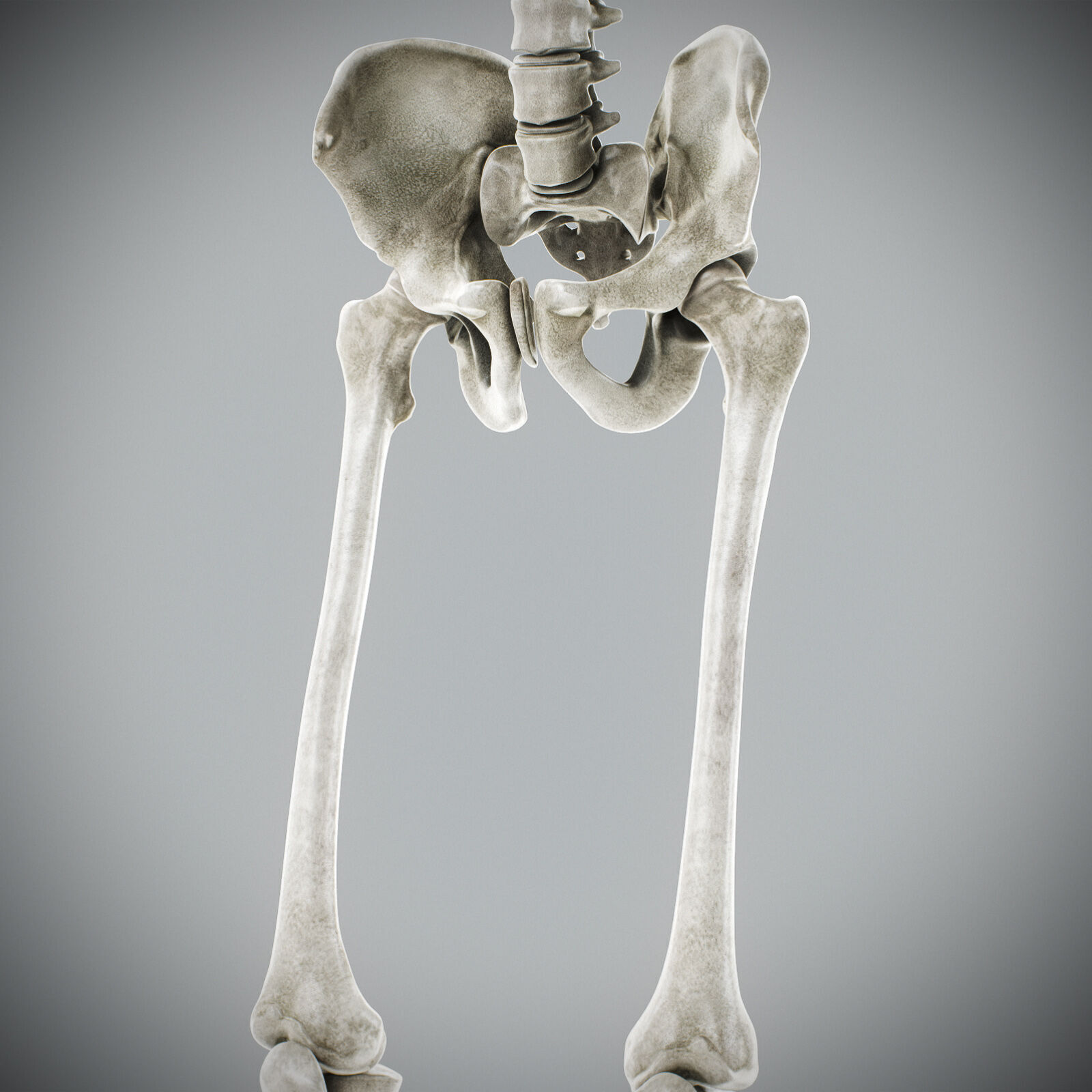 Human Male Anatomy 3D model_109