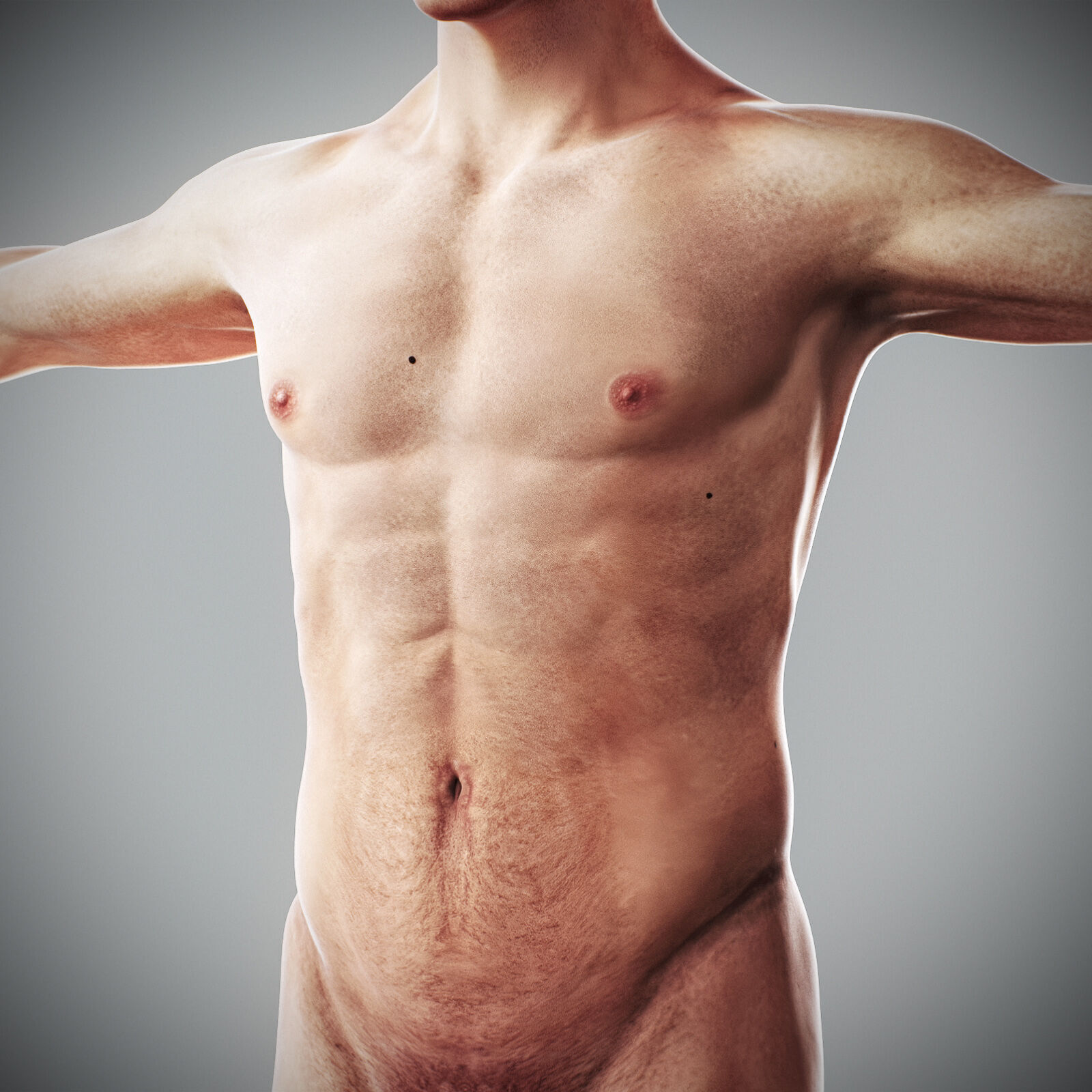 Human Male Anatomy 3D model_60