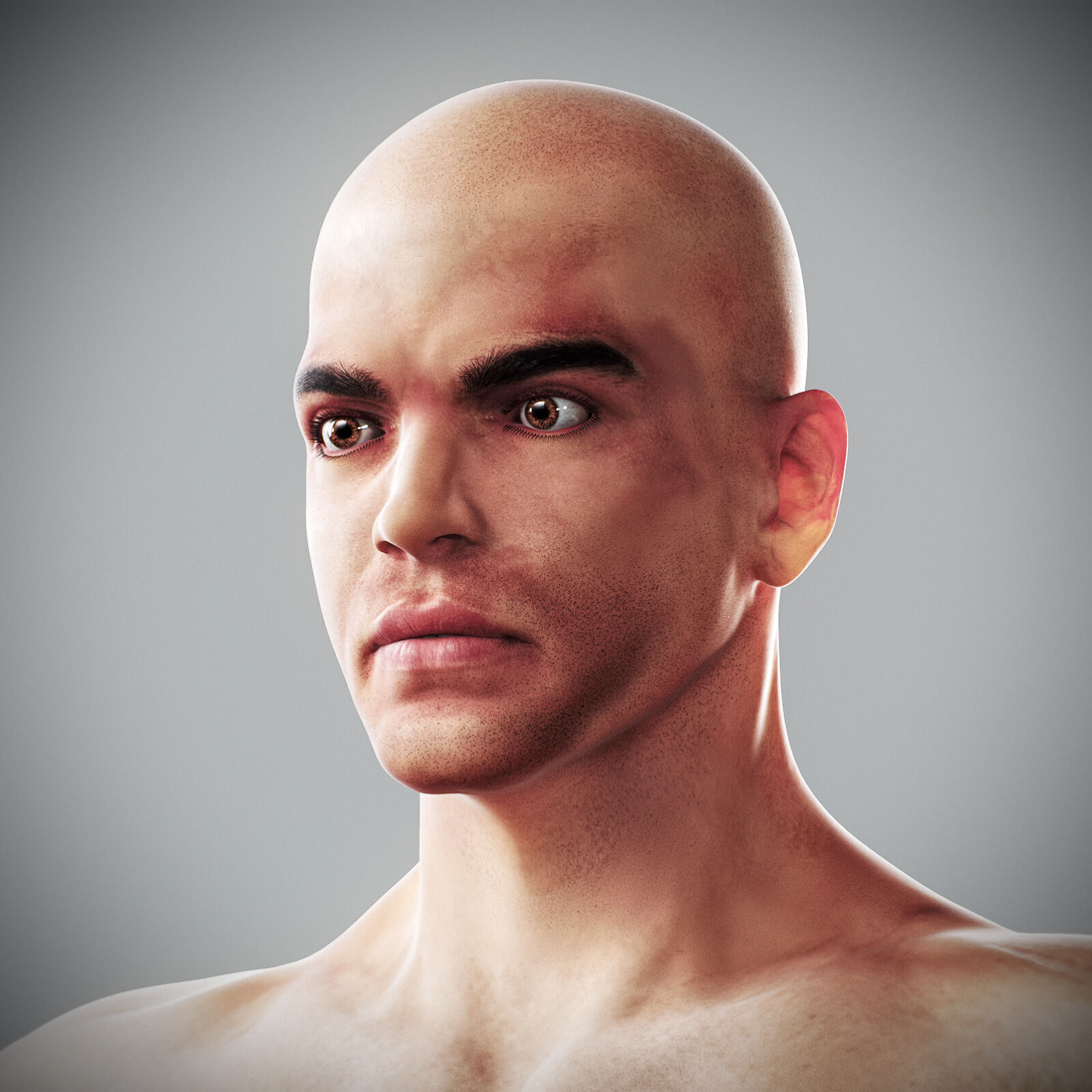 Human Male Anatomy 3D model_58