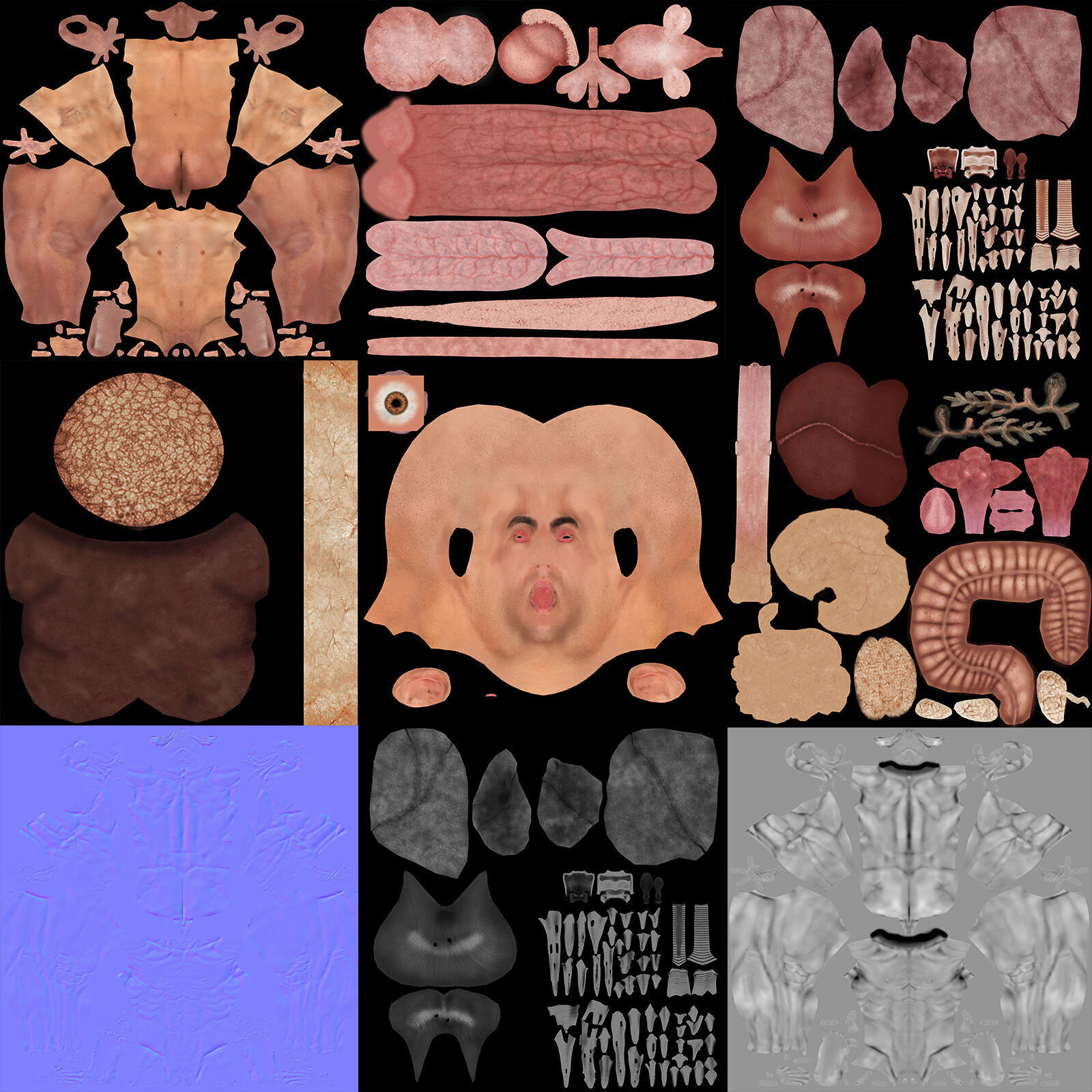 Human Male Internal Organs Anatomy 3D model_20