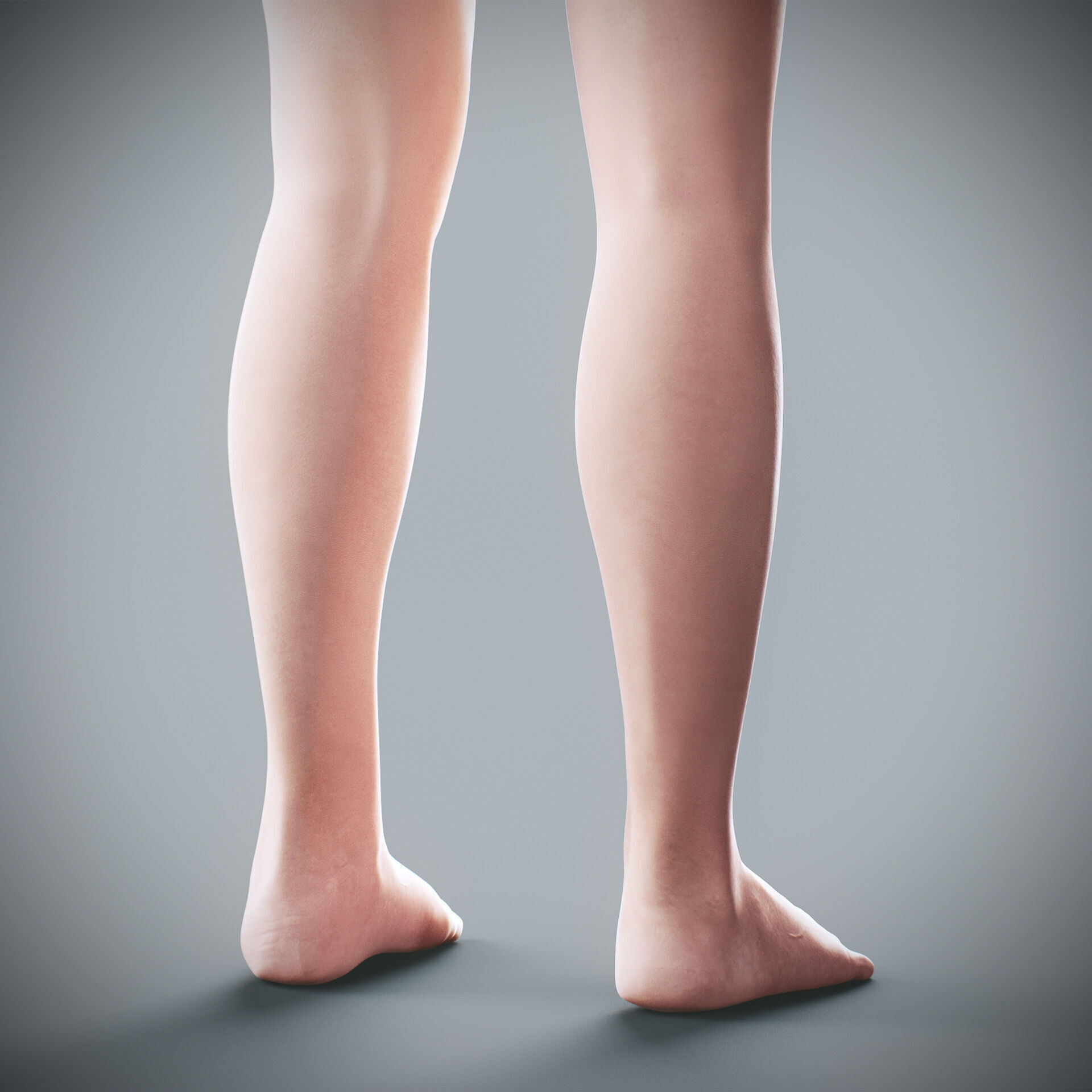 Human Male and Female Complete Anatomy 3D model_88