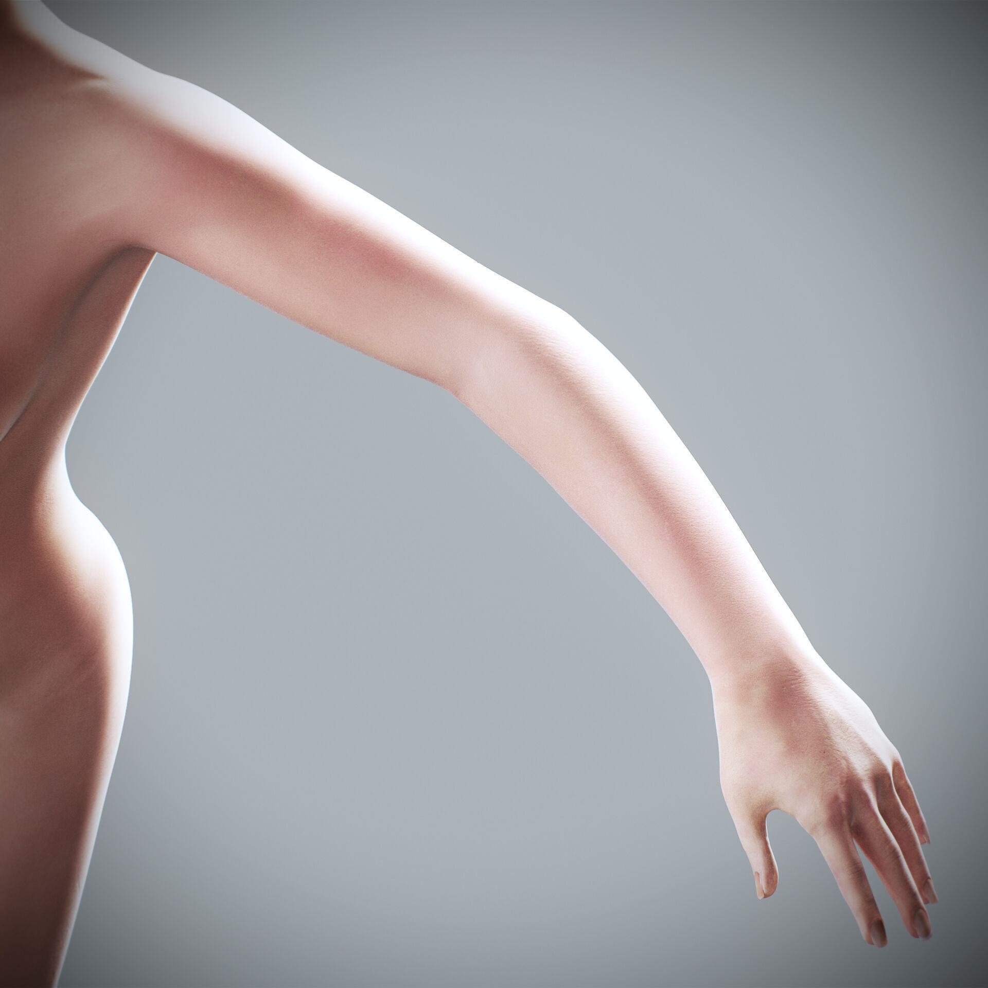 Human Male and Female Complete Anatomy 3D model_92