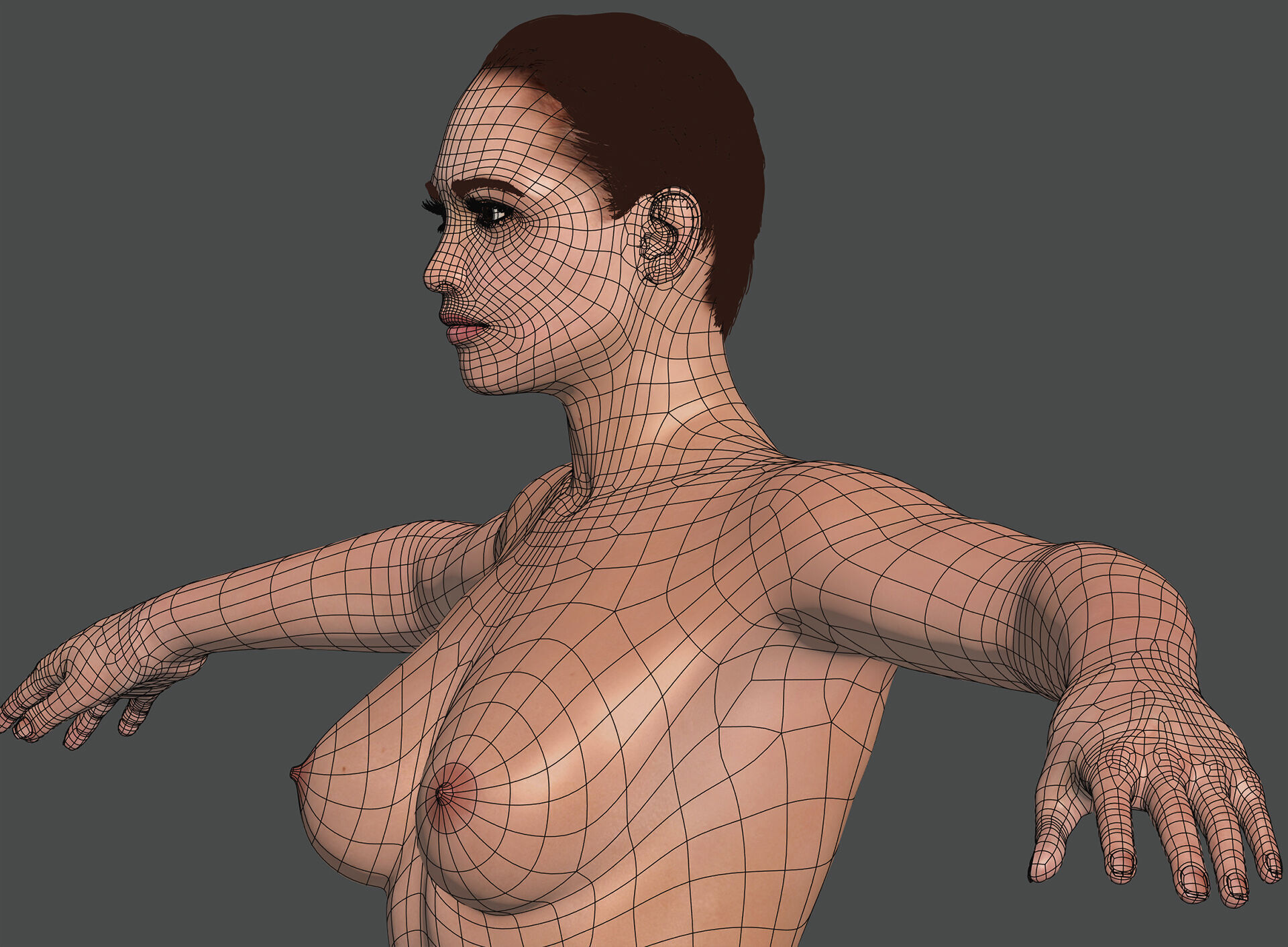 Human Male and Female Complete Anatomy 3D model_31