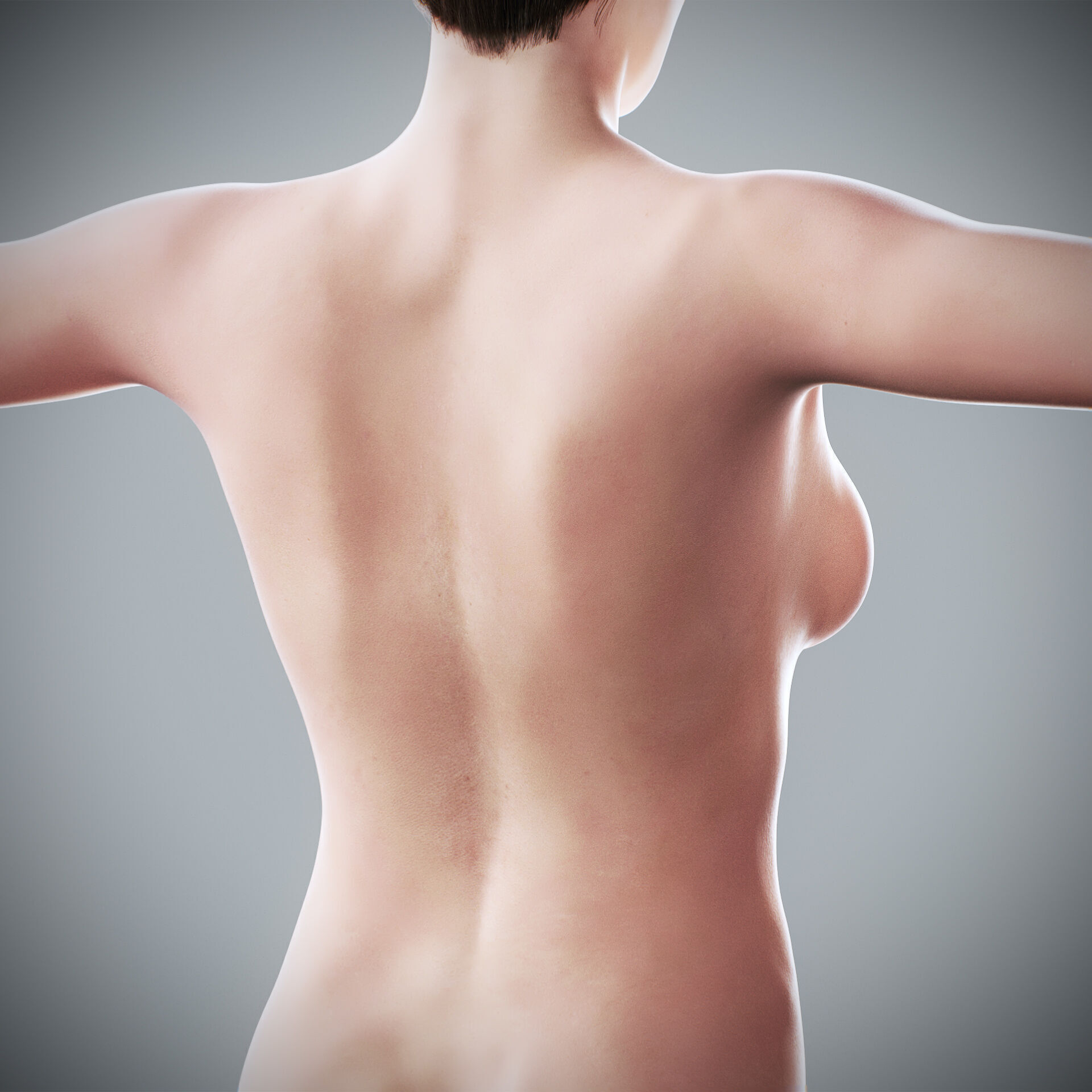 Human Male and Female Complete Anatomy 3D model_65