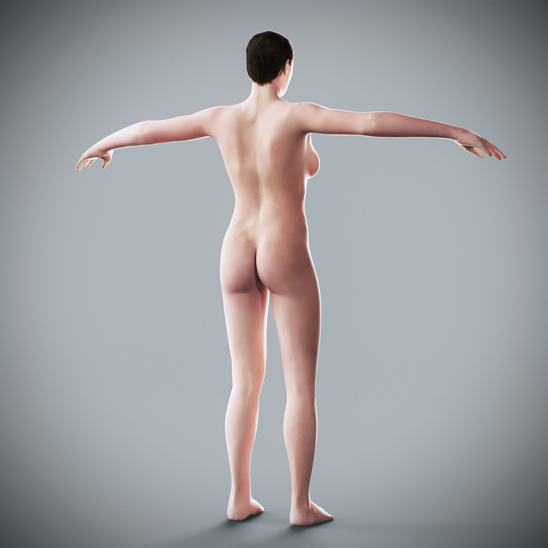Human Male and Female Complete Anatomy 3D model_50