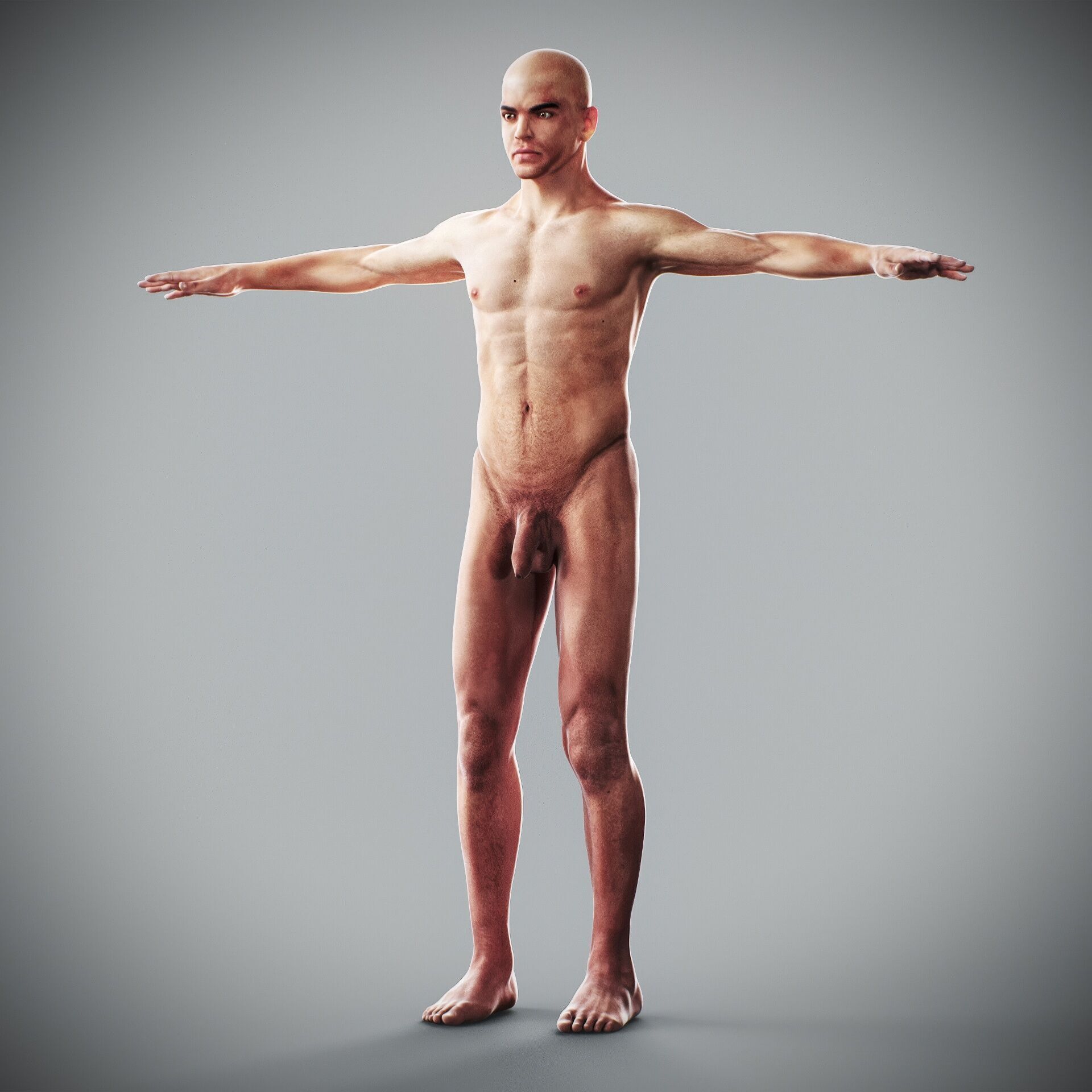 Human Male and Female Complete Anatomy 3D model_46
