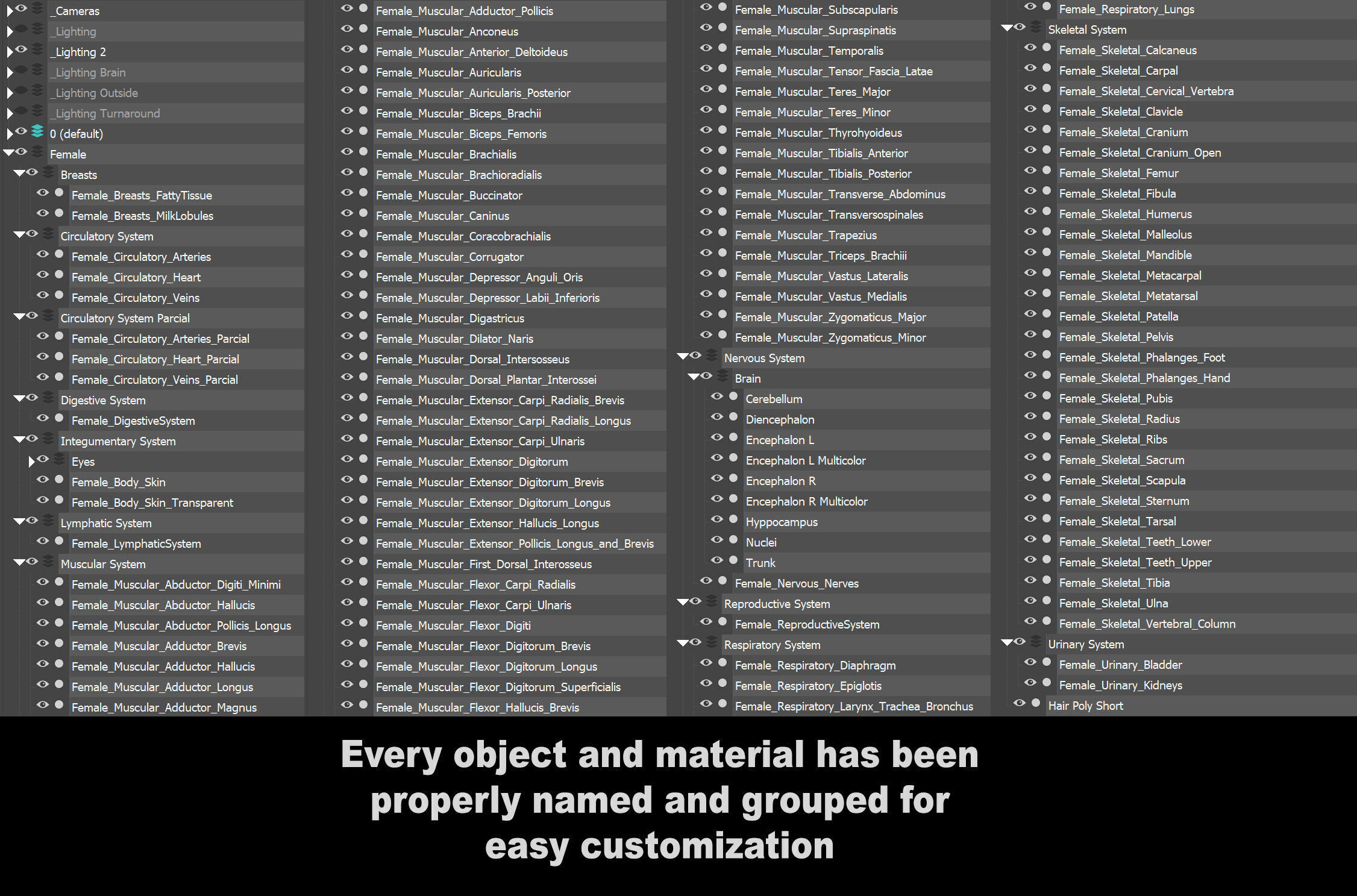 Human Male and Female Complete Anatomy 3D model_36