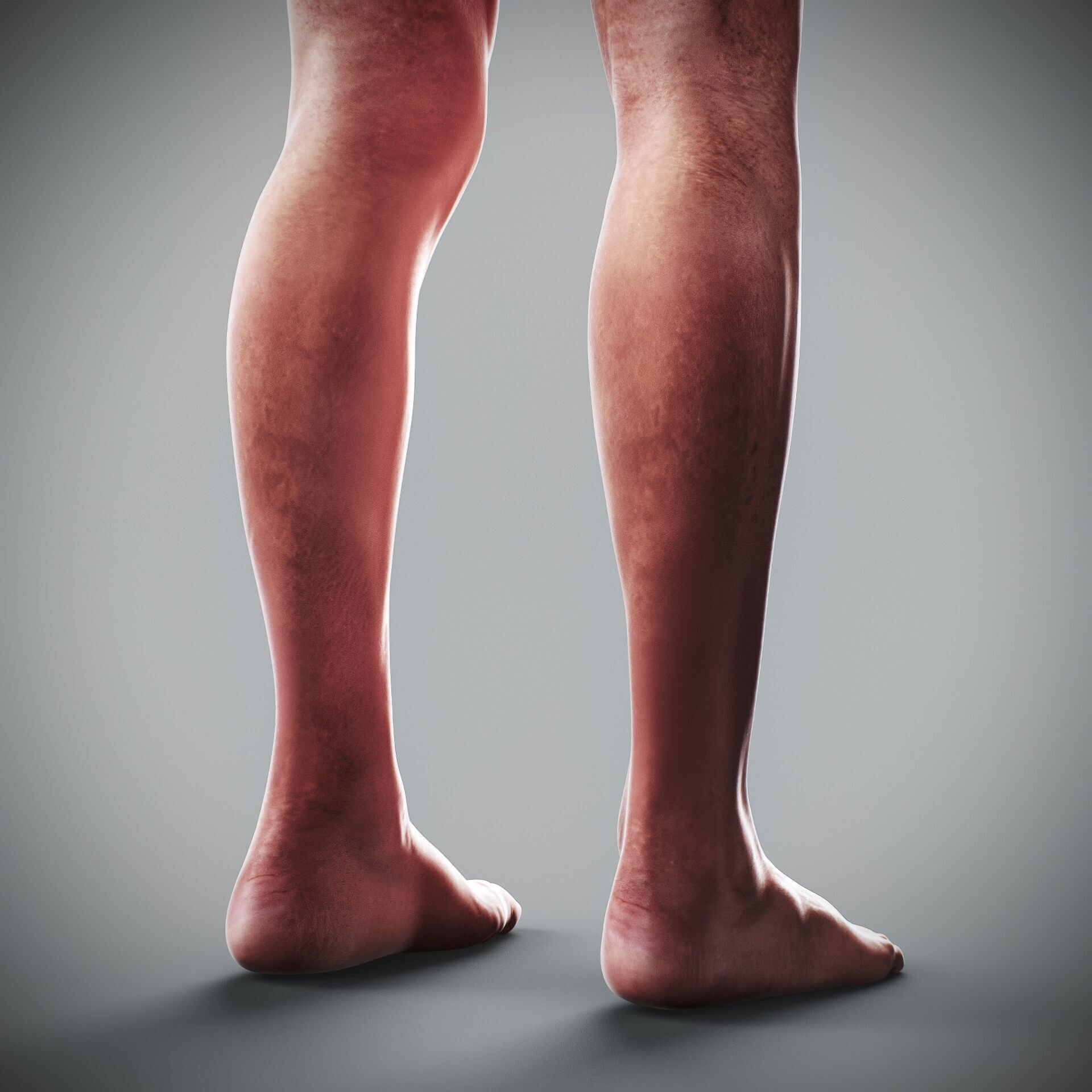 Human Male and Female Complete Anatomy 3D model_85