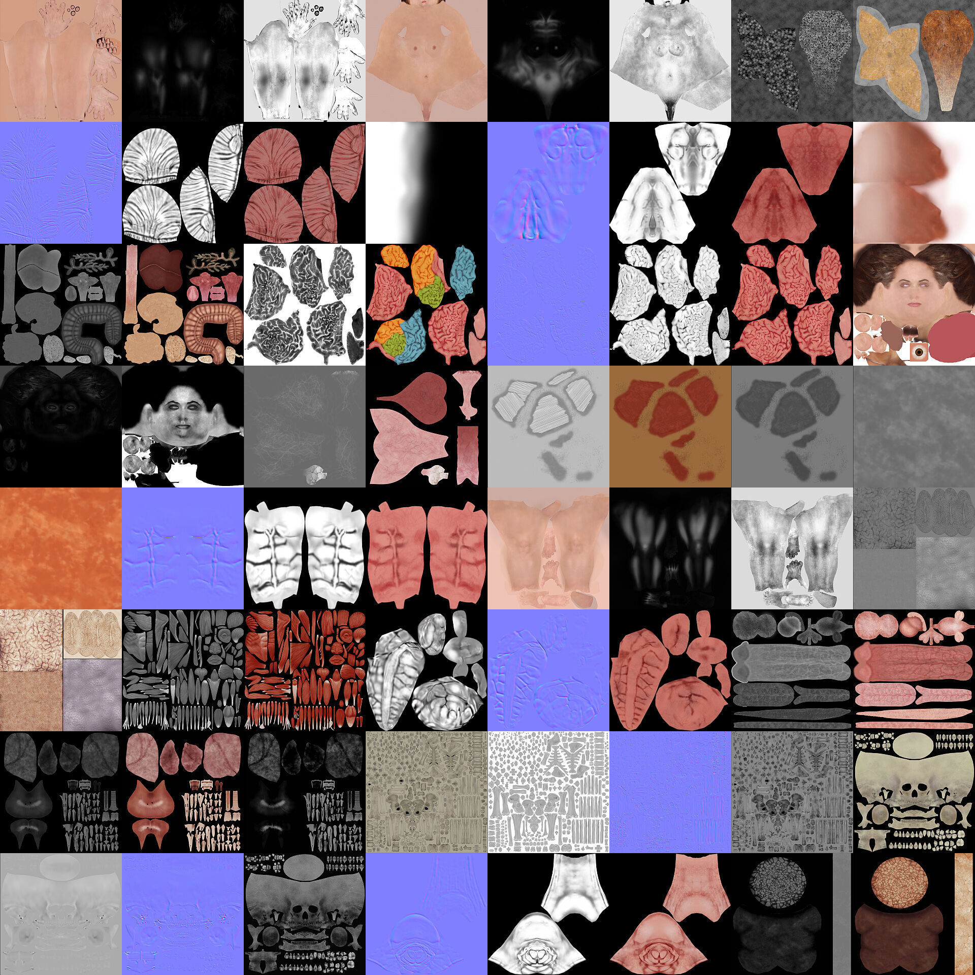 Human Male and Female Complete Anatomy 3D model_27