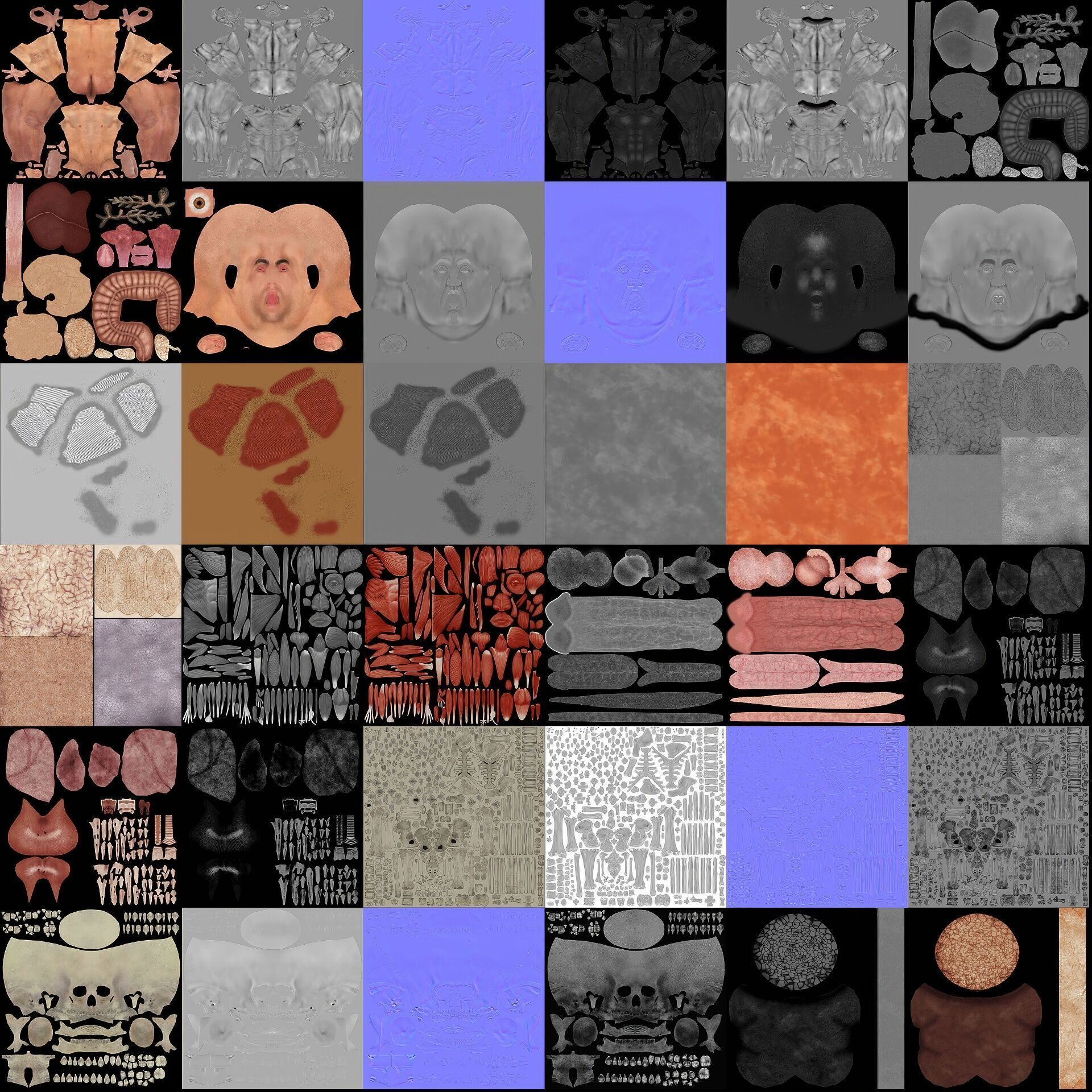 Human Male and Female Complete Anatomy 3D model_26