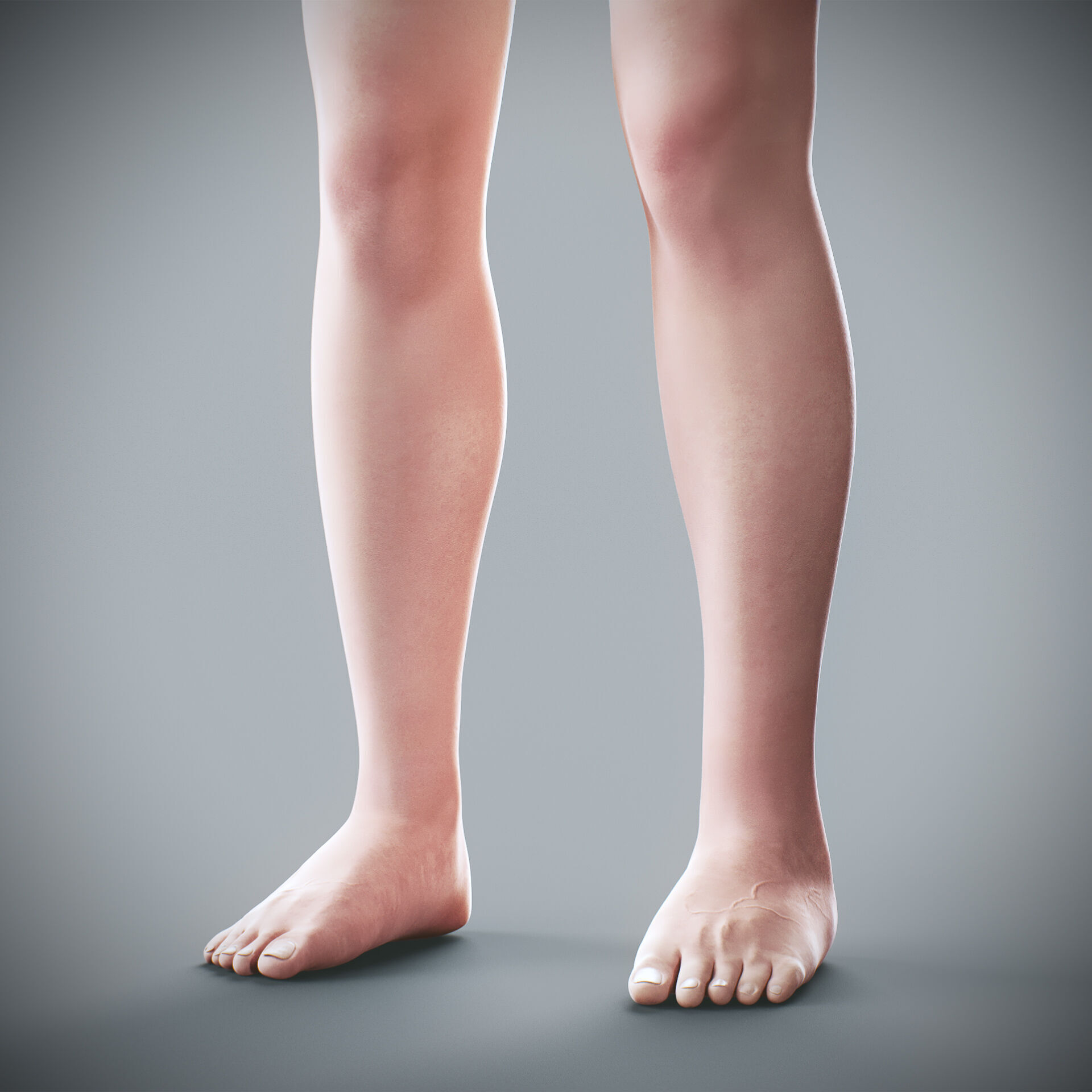 Human Male and Female Complete Anatomy 3D model_83