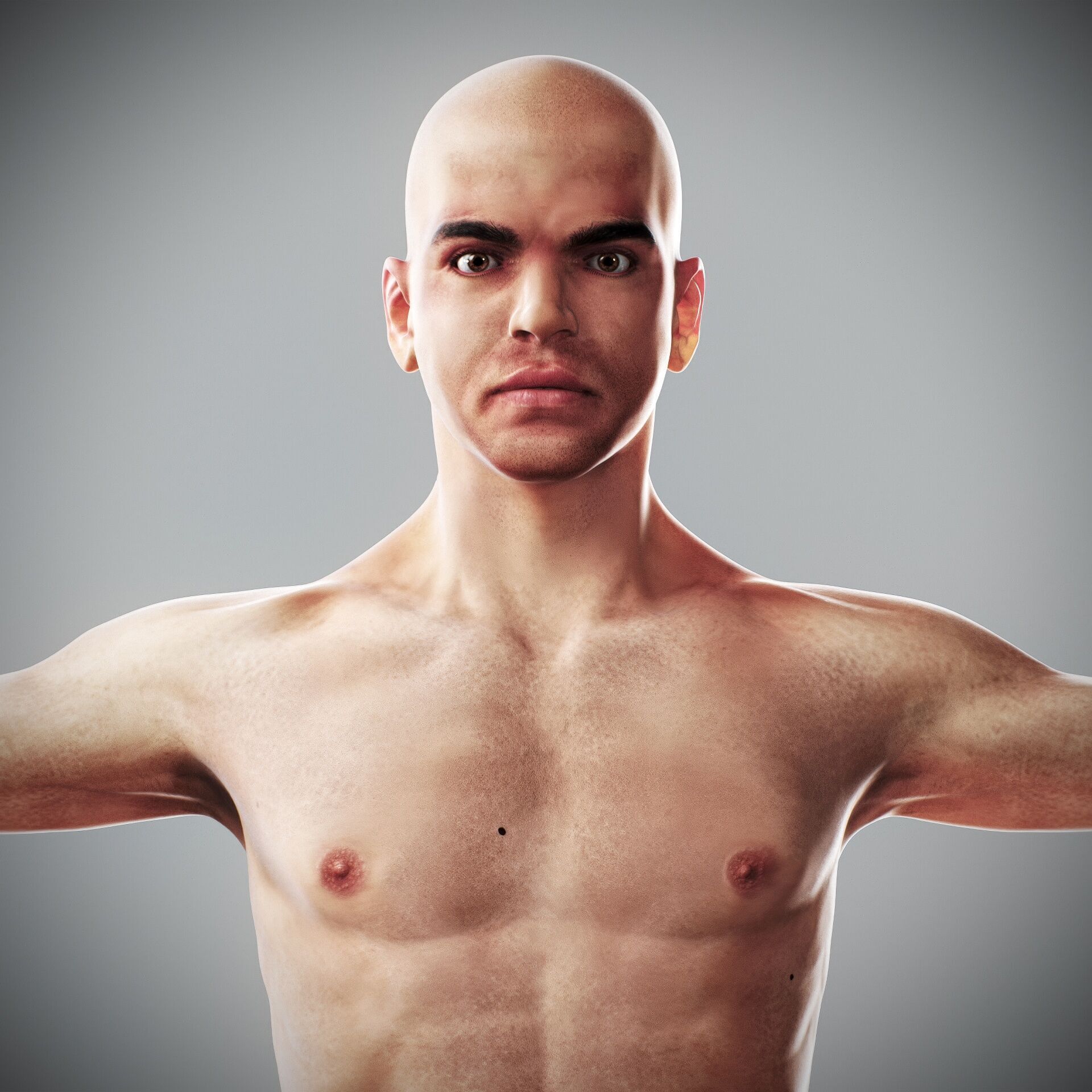 Human Male and Female Complete Anatomy 3D model_4