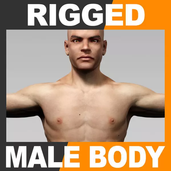 Human Male Body - Rigged Anatomy 3D model