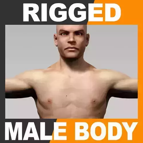 Human Male Body - Rigged Anatomy