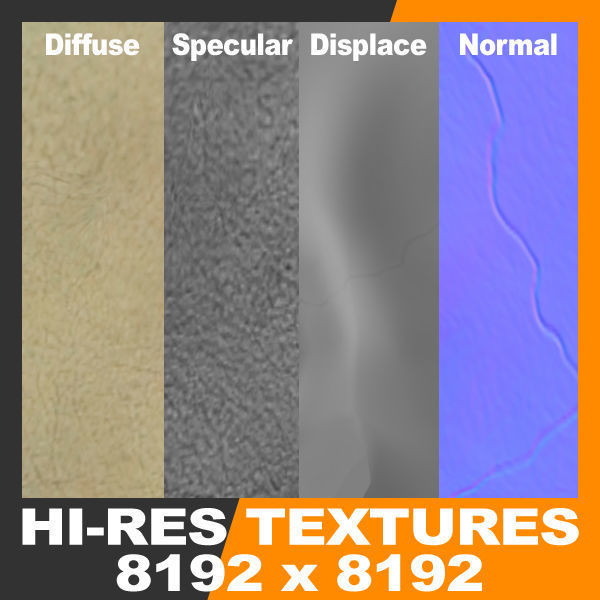 Human Muscular System and Skeleton - Rigged Anatomy 3D model_39