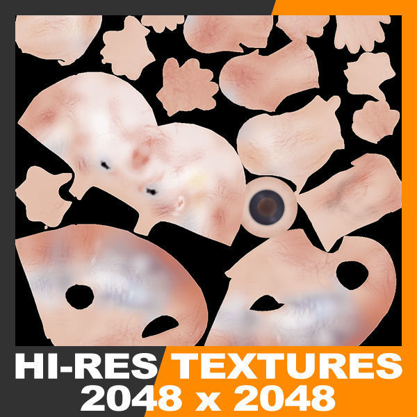 Human Embryo 9 Weeks 3D model_11