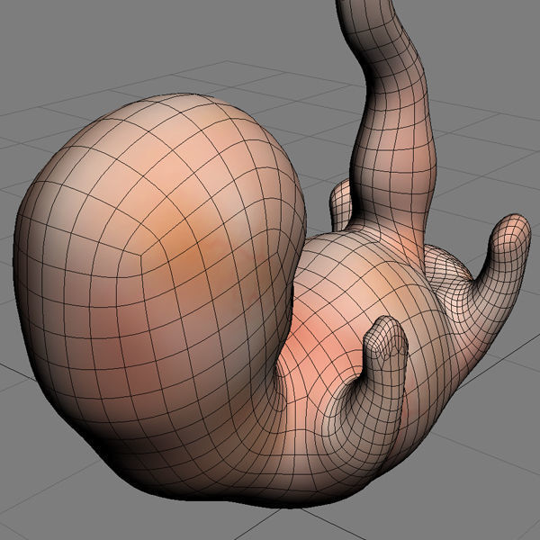 Human Embryo 6 Weeks 3D model_9