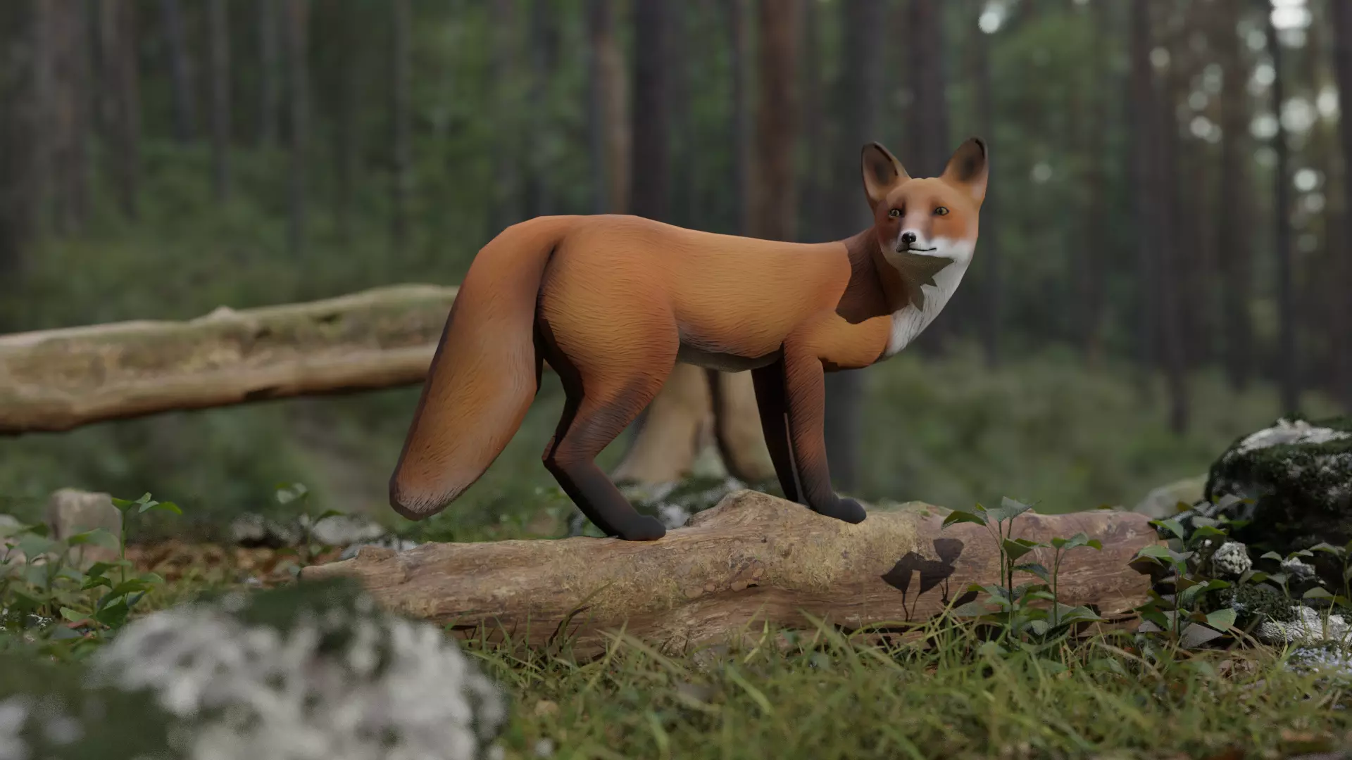 Fox LowPoly Low-poly 3D model_0
