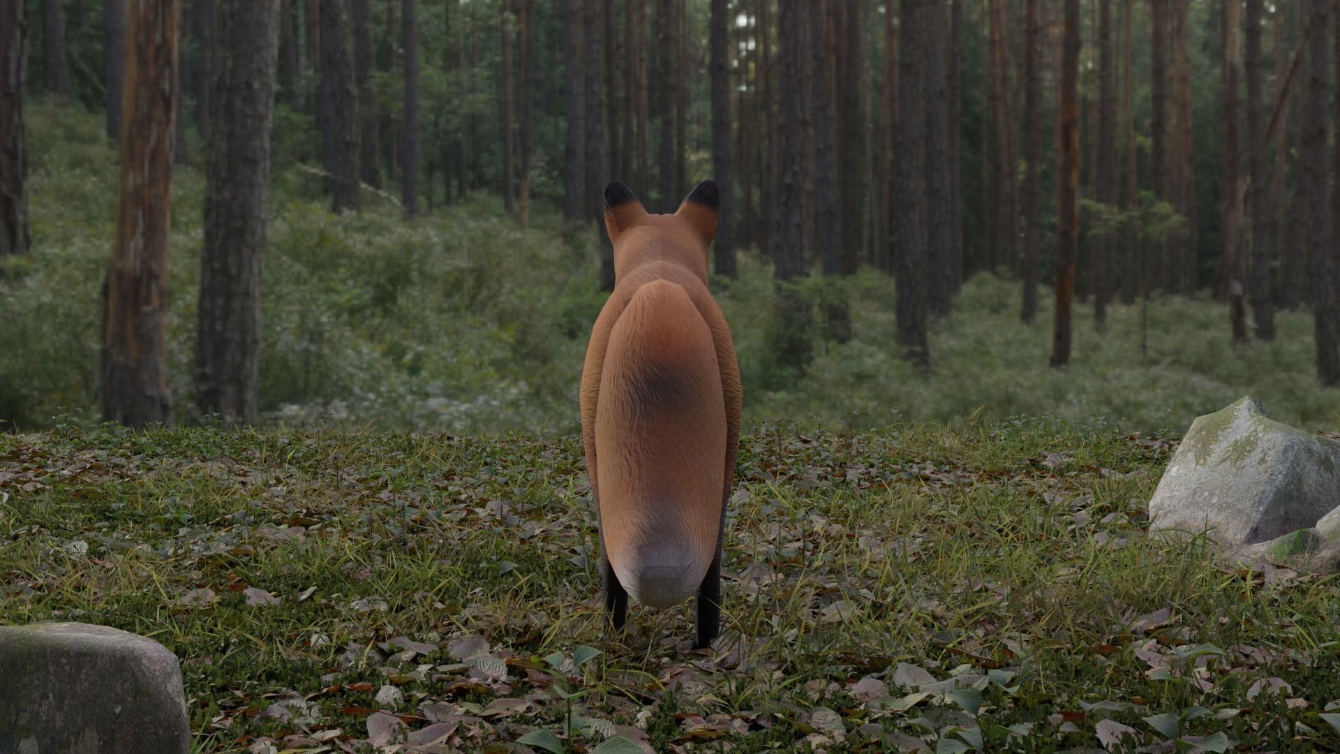 Fox LowPoly Low-poly 3D model_5