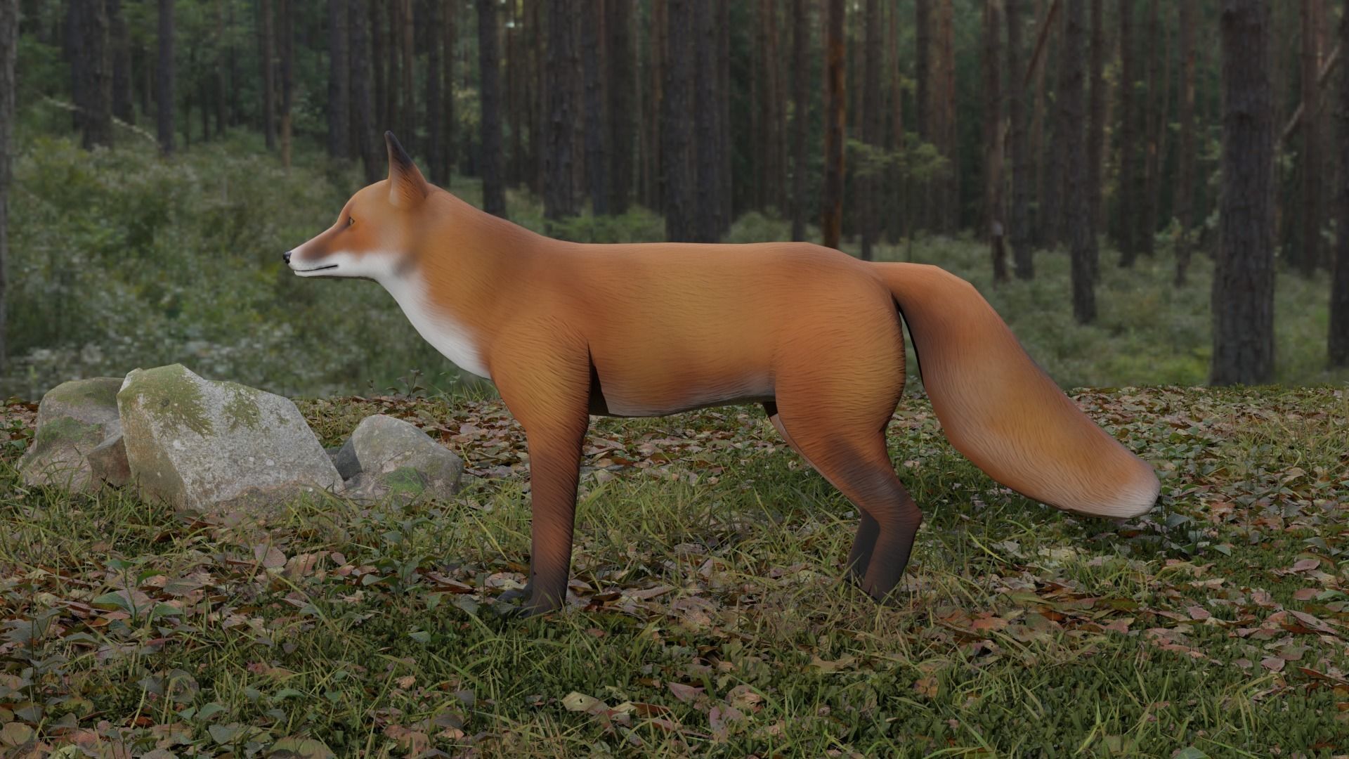 Fox LowPoly Low-poly 3D model_4