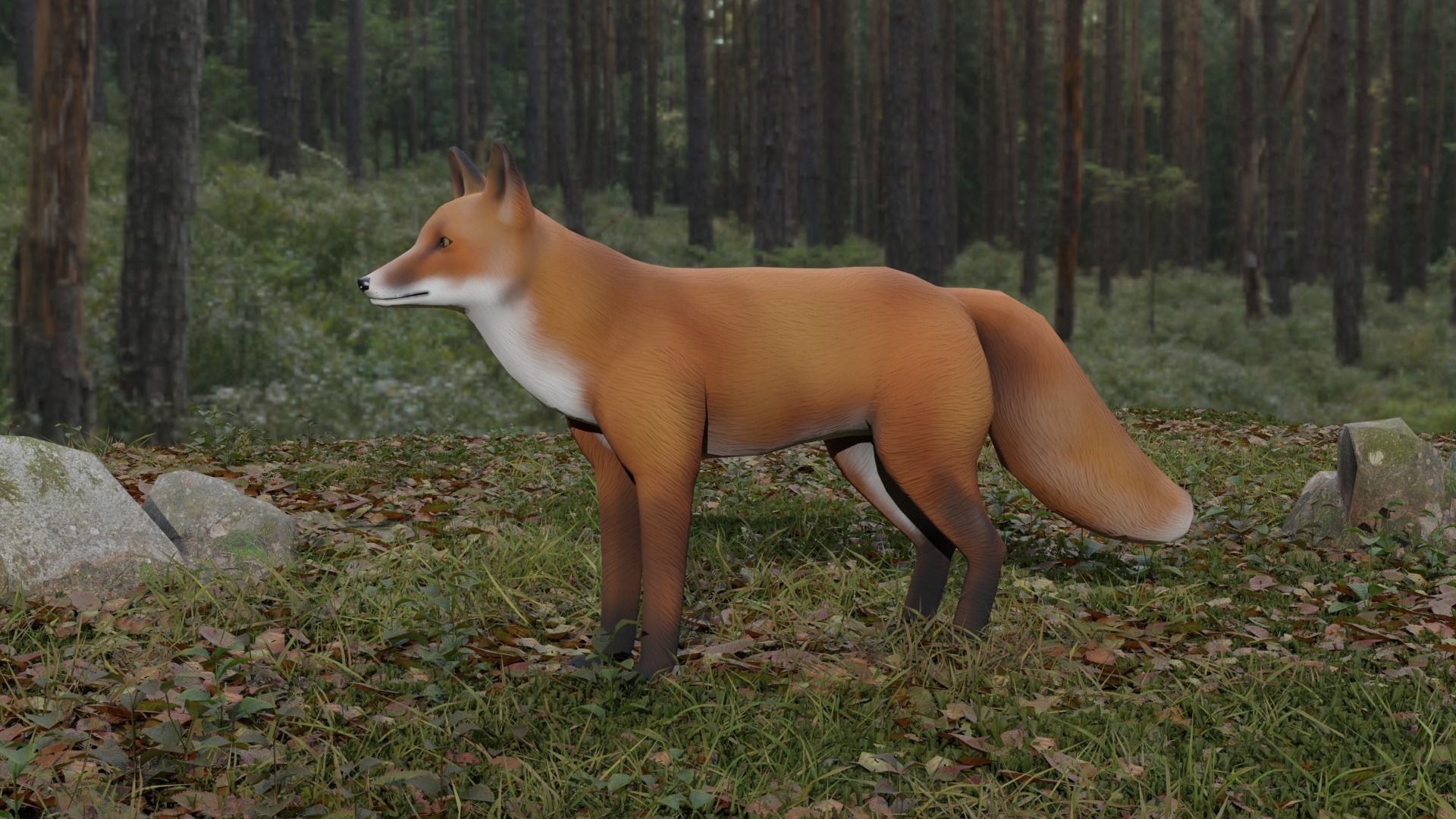 Fox LowPoly Low-poly 3D model_2