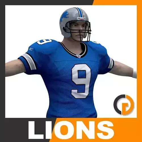 NFL Player Detroit Lions