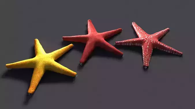 Red Star Fish Low-poly 3D model