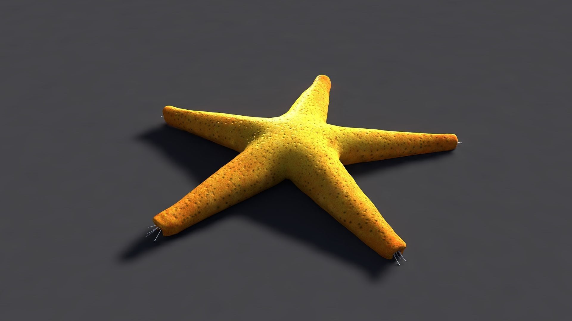 Red Star Fish Low-poly 3D model_3