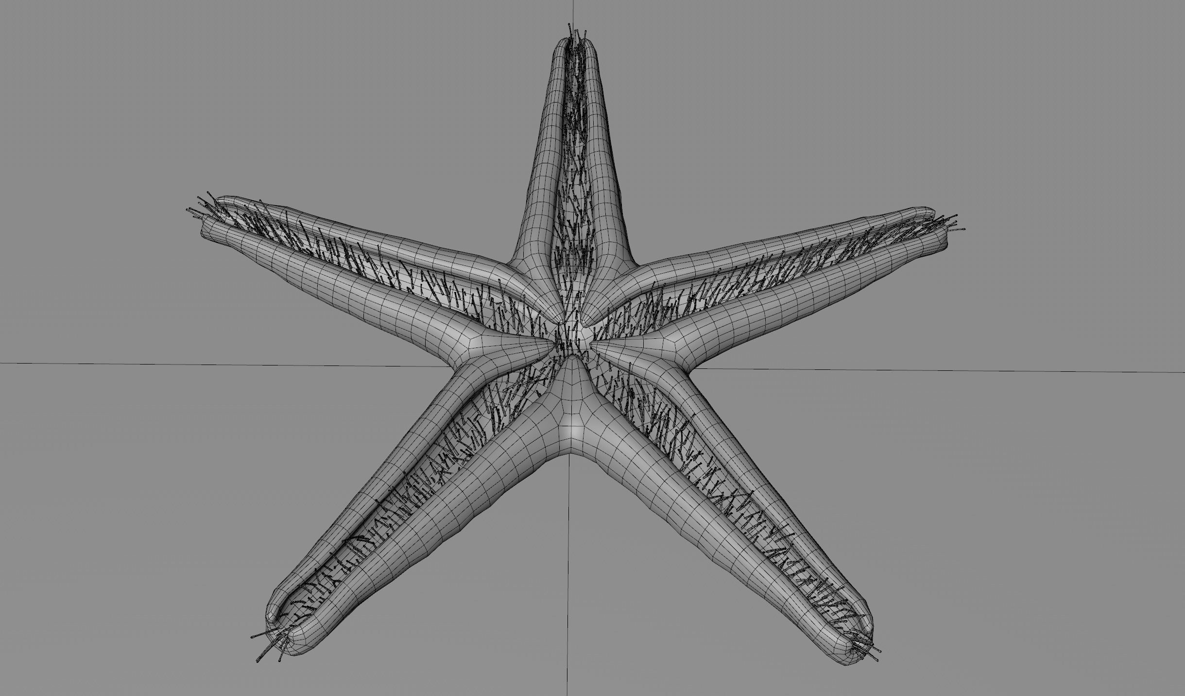 Red Star Fish Low-poly 3D model_7