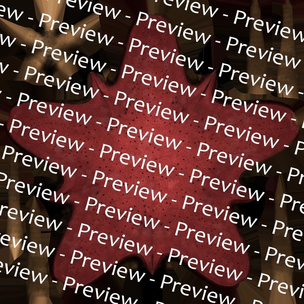 Red Star Fish Low-poly 3D model_9