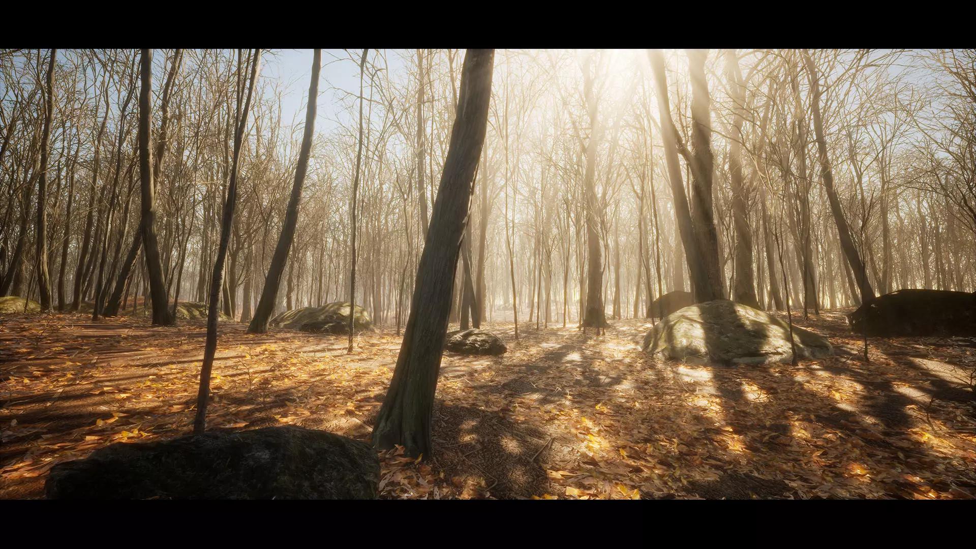 European Dark Forest Low-poly 3D model_0