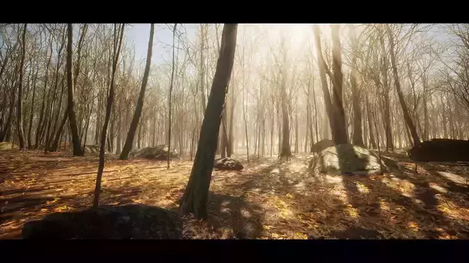 European Dark Forest  