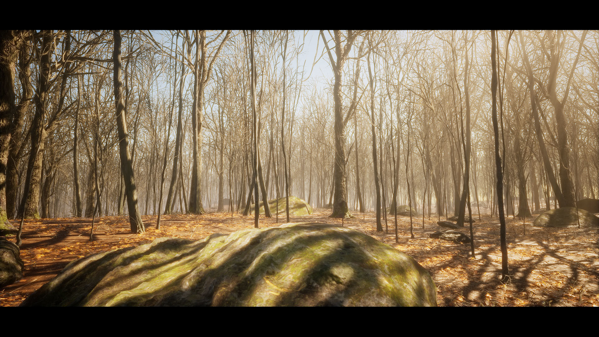 European Dark Forest Low-poly 3D model_3