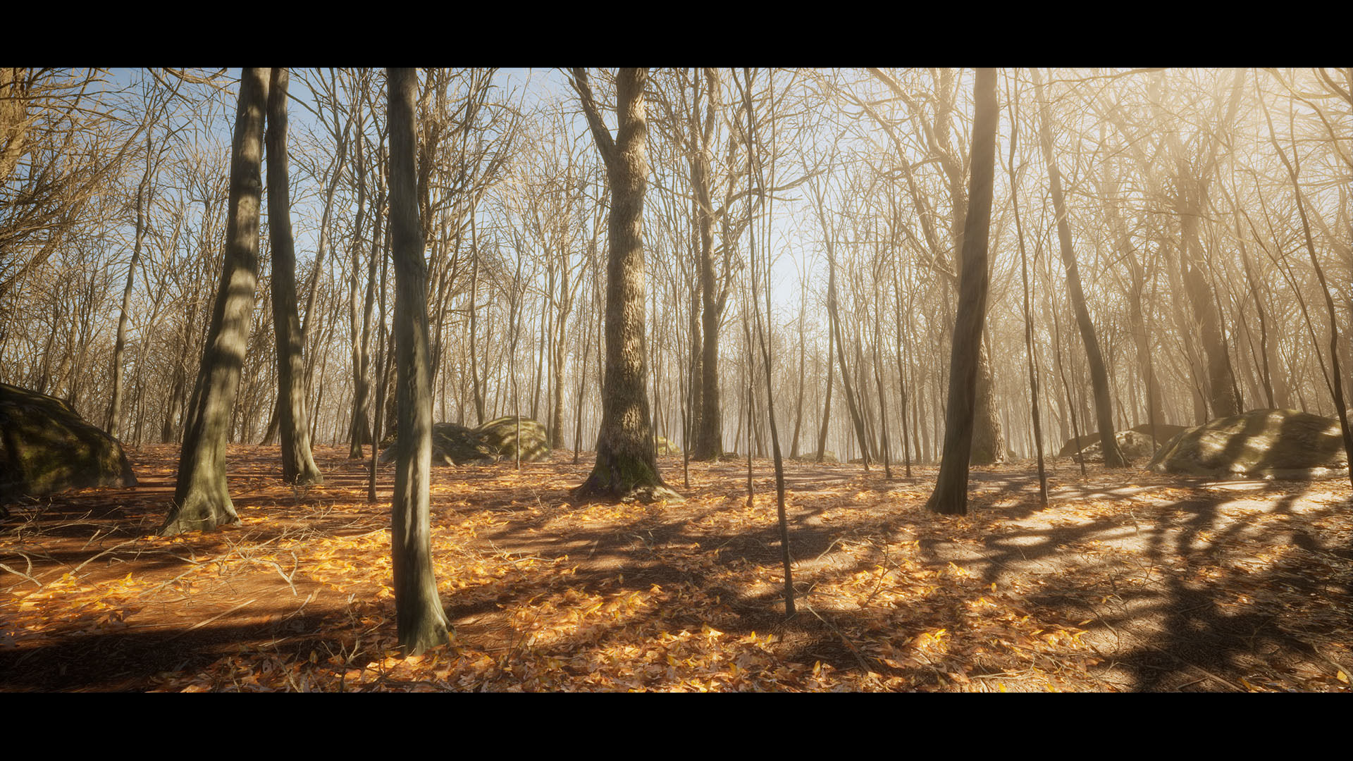 European Dark Forest Low-poly 3D model_2