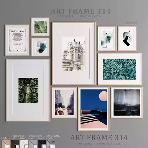 Art Frame 314