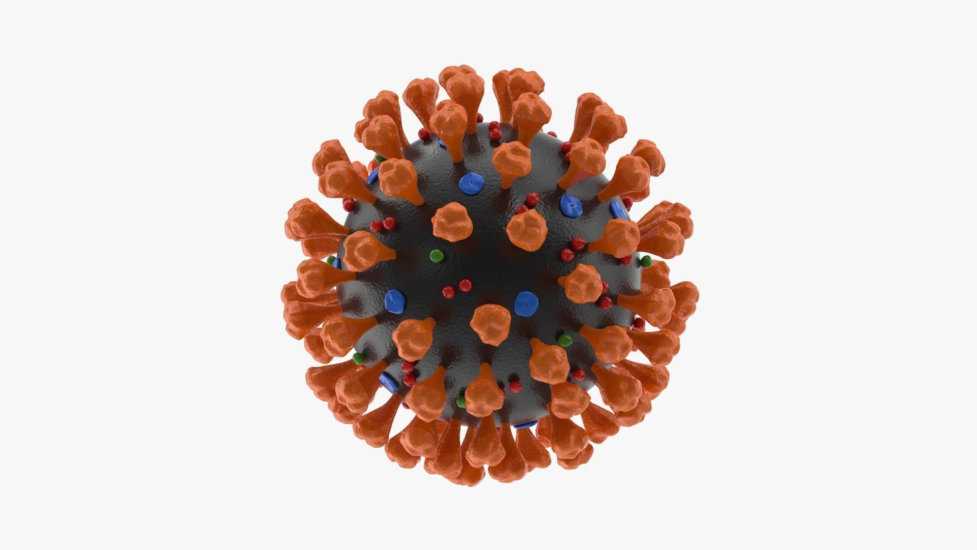 Coronavirus v2 Low-poly 3D model_3