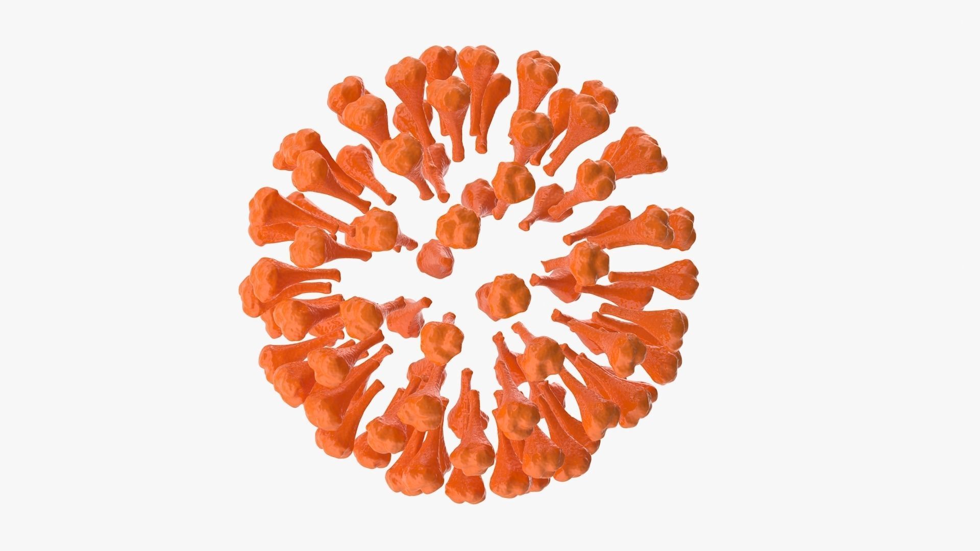 Coronavirus v2 Low-poly 3D model_5