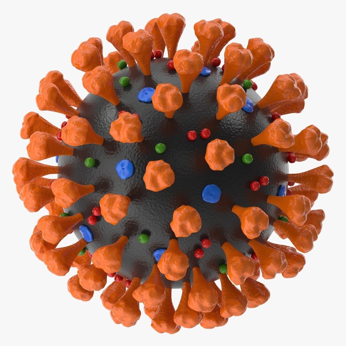 Coronavirus v2 Low-poly 3D model_1