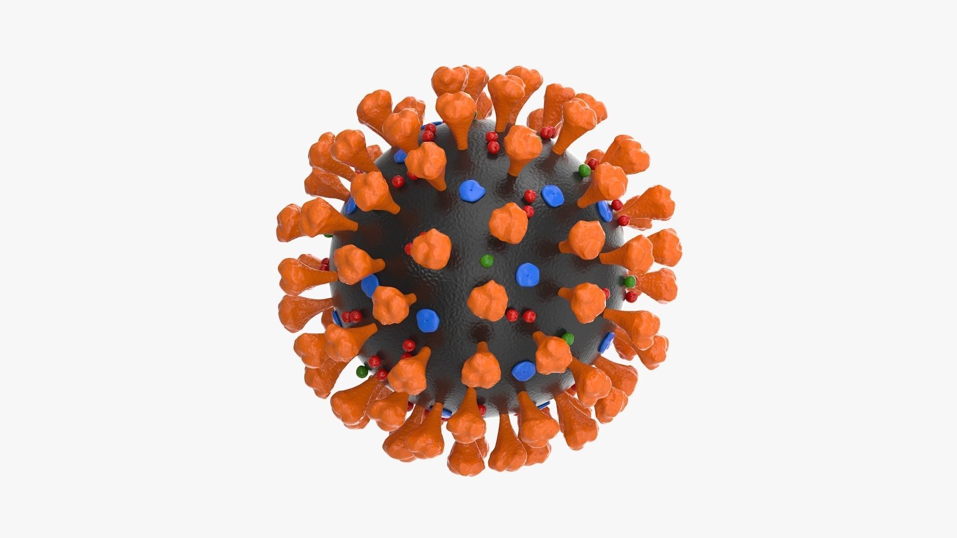 Coronavirus v2 Low-poly 3D model_4