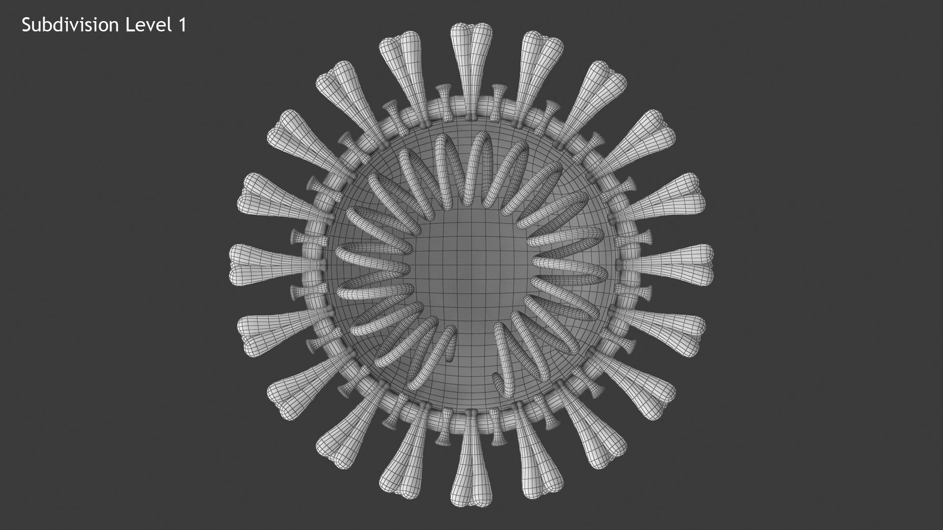 Coronavirus v3 Cross Section Low-poly 3D model_10