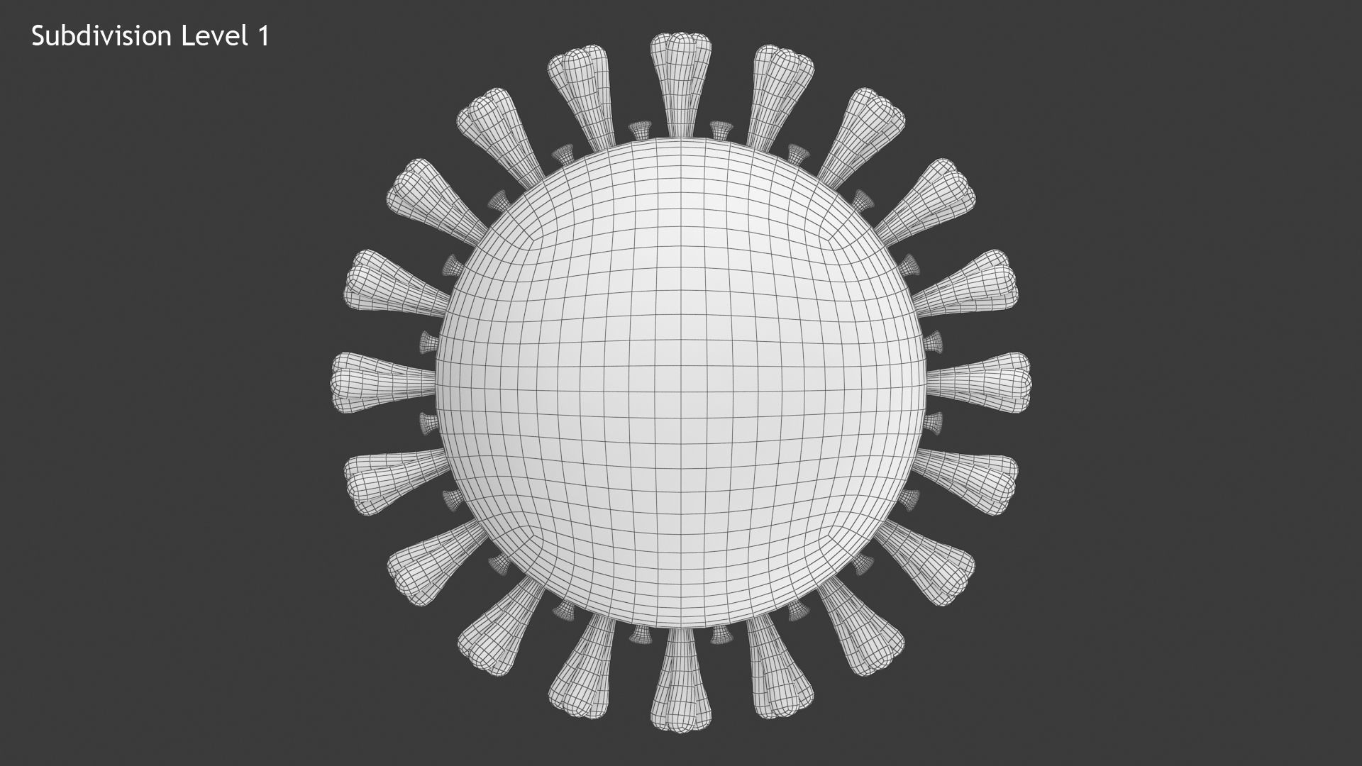 Coronavirus v3 Cross Section Low-poly 3D model_12