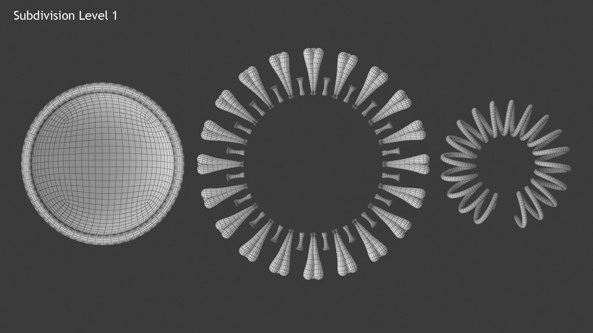 Coronavirus v3 Cross Section Low-poly 3D model_14