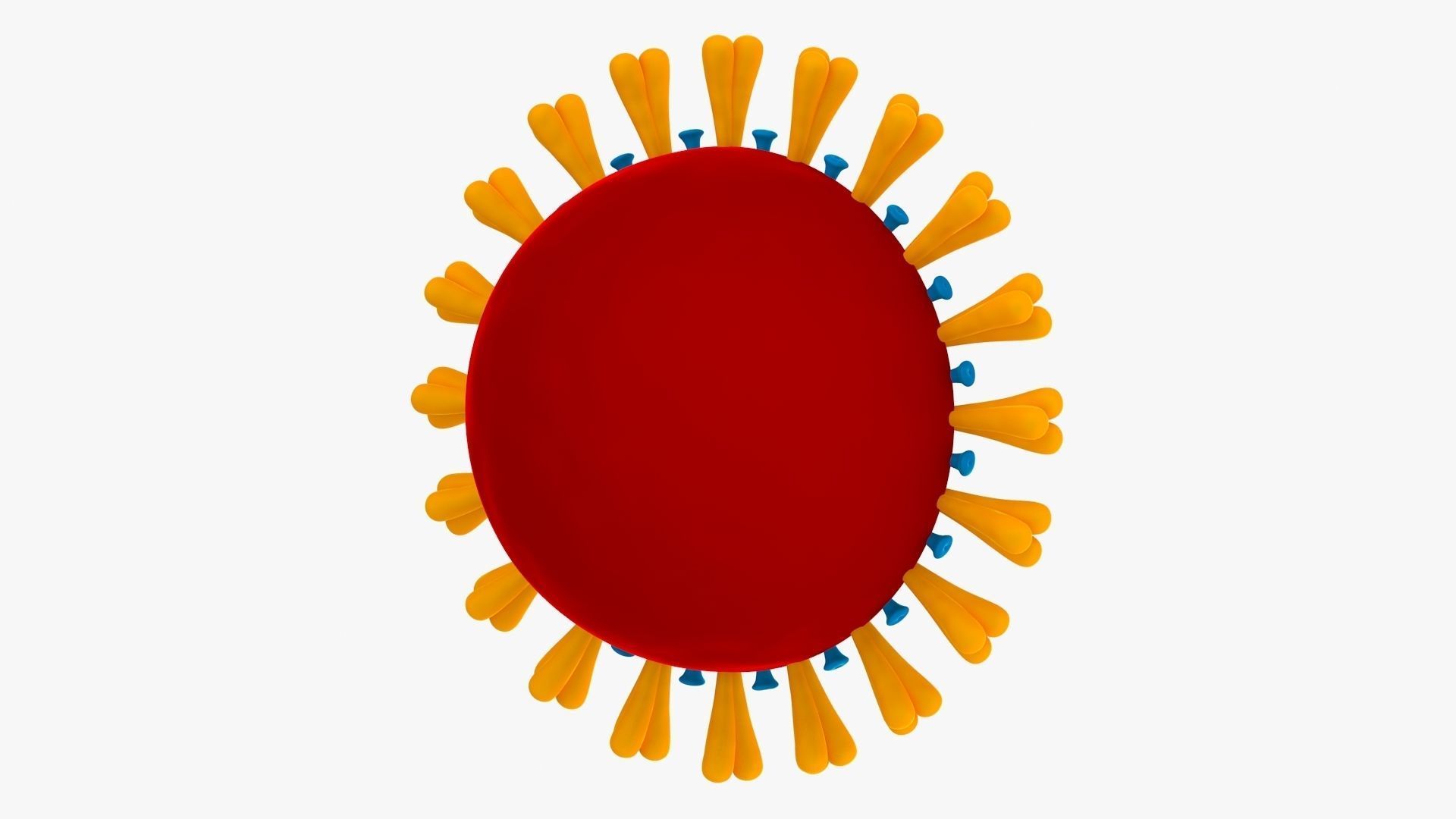 Coronavirus v3 Cross Section Low-poly 3D model_6