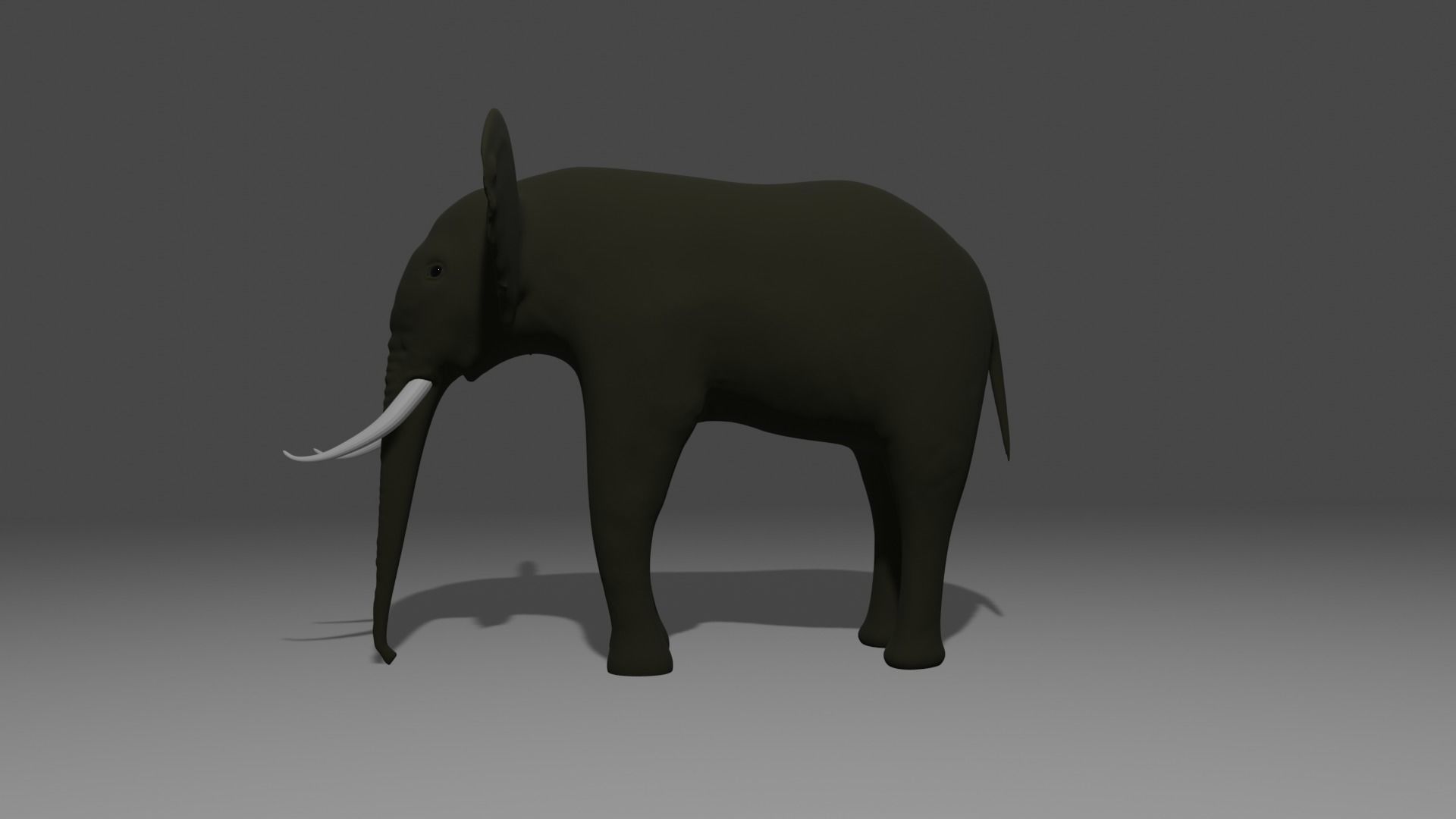 Elephant with tusks 3D model_2